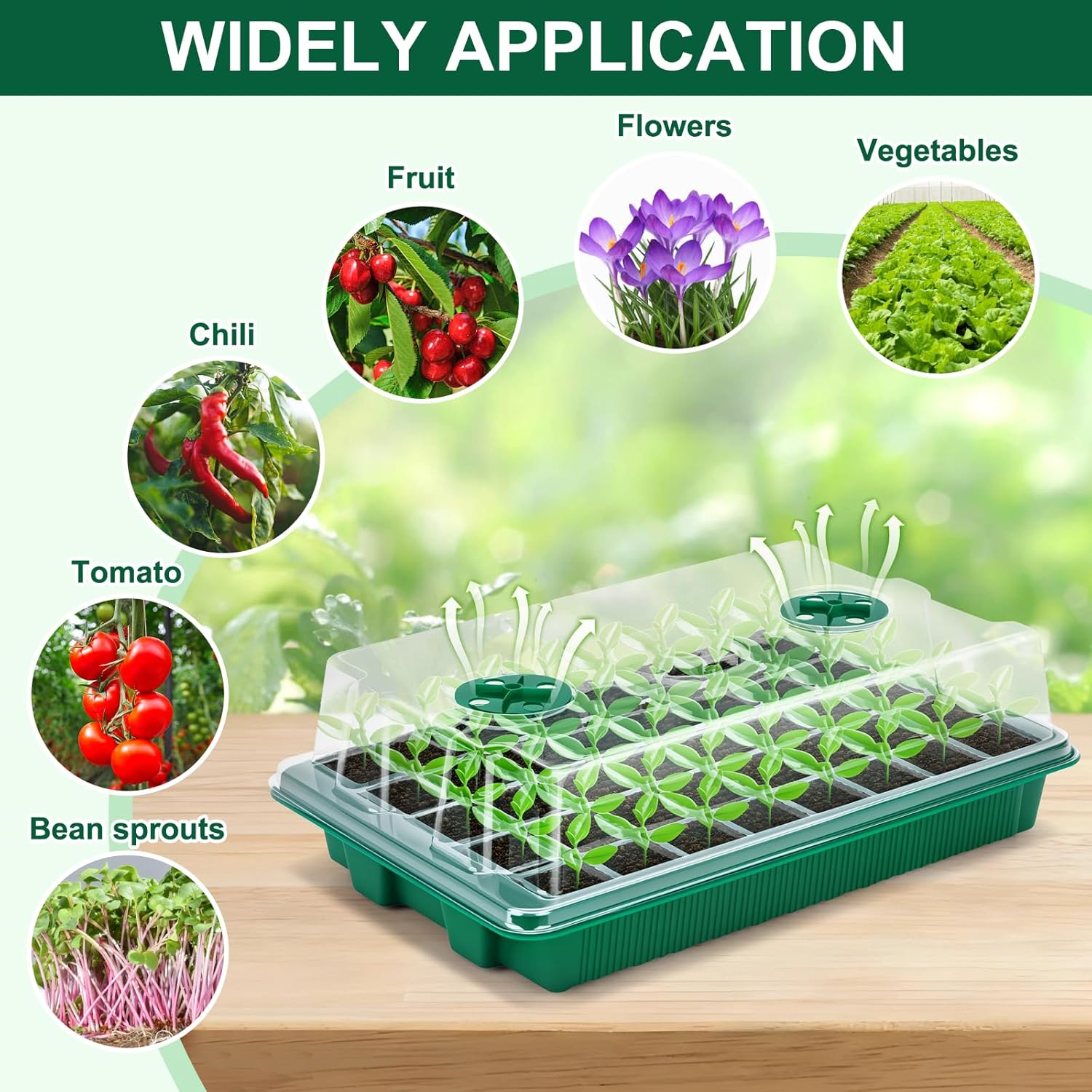 5 Pack Seed Starter Tray Seed Starter Kit (200 Cells Total Tray) with 
