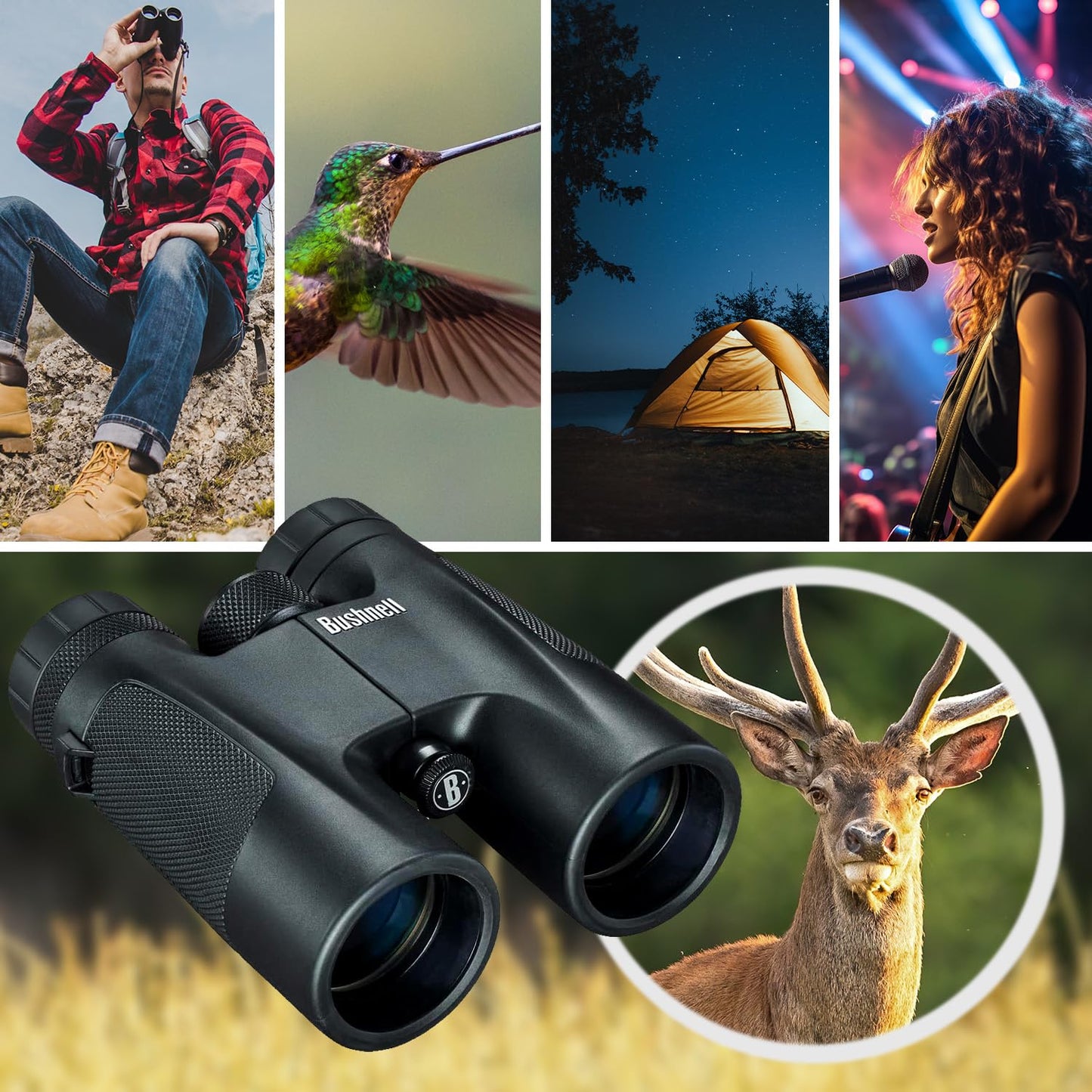 Bushnell 10 x 42 Powerview Roof Prism Binocular