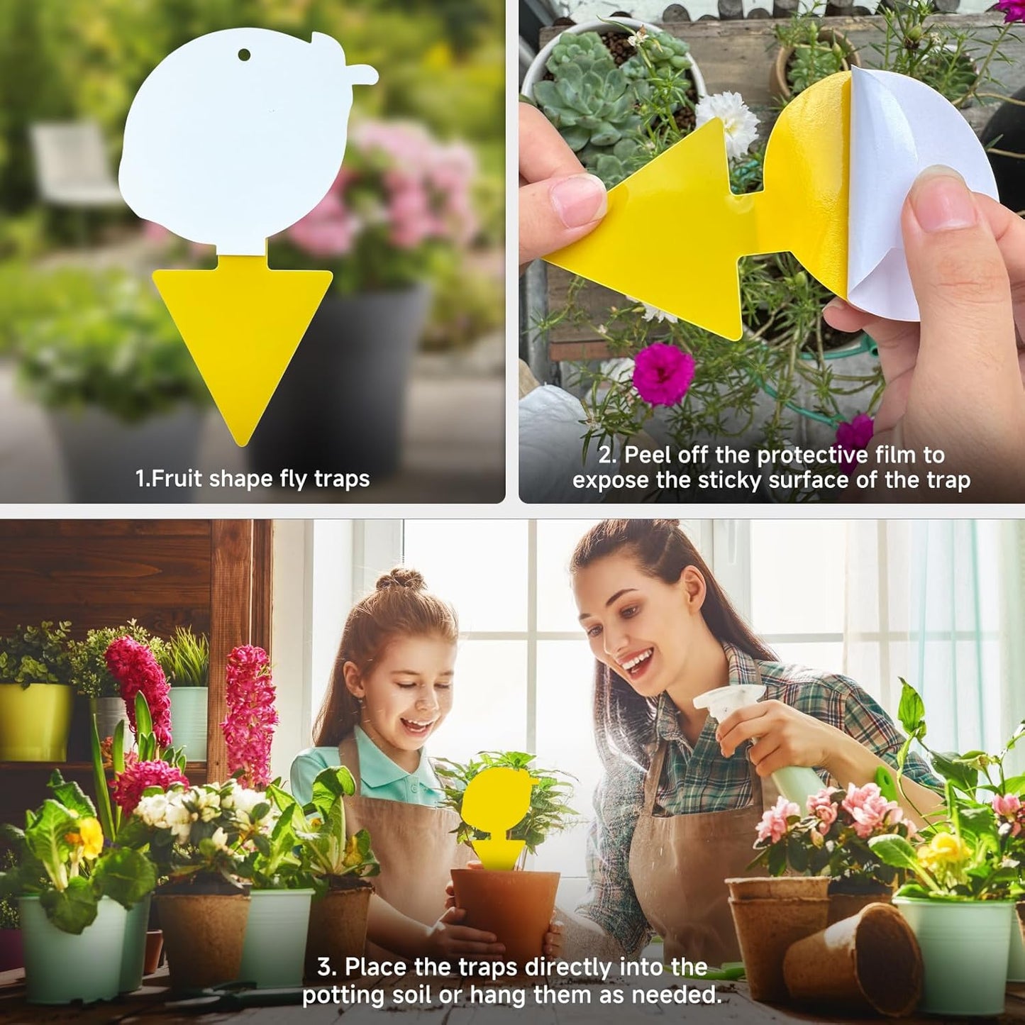 Fruit Fly Trap & Fungus Gnat Traps 40 Pack – Yellow Sticky Gnat Traps 