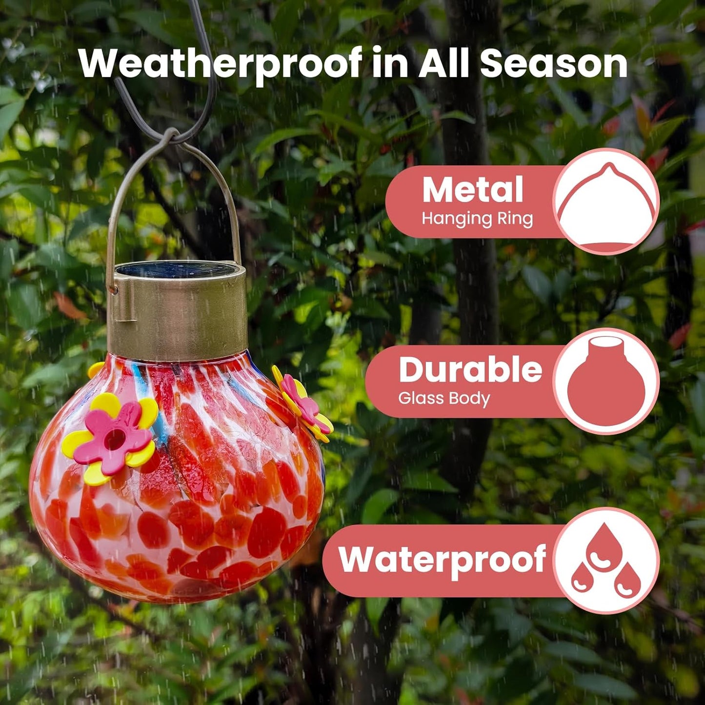 Hummingbird Feeder with Solar Camera, Glass Hummingbird Feeder for Out