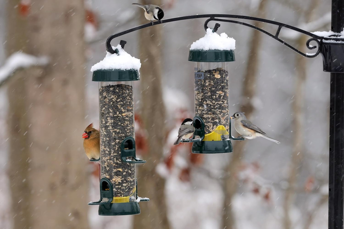 Brome Tube 150 Wild Bird Feeder, Metal, 4 Seed Ports, 2.6 lb Capacity, Extra-Wide Perches, Easy to Fill & Clean, Pole-Mountable, Seed Tray Available