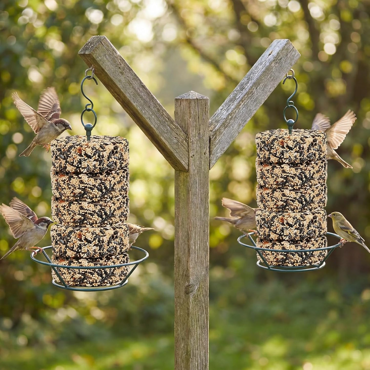 2 Pcs Dark Green Cylinder Bird Feeder for Outdoors Hanging Bird Feeders Holder Includes O-Ring & Locking S Hook Backyard Wild Birds Feeding Birds Container for Outdoors Garden