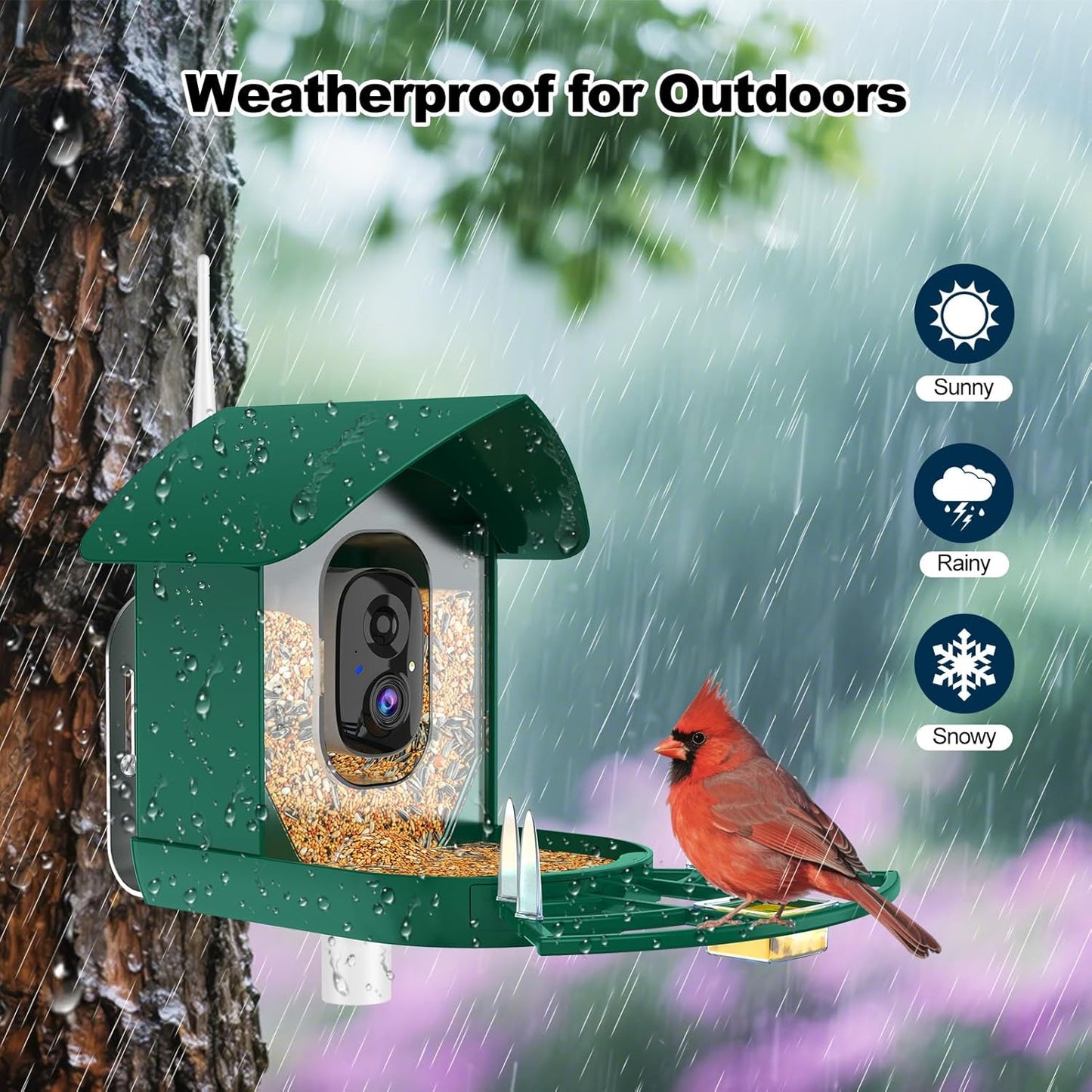 Bird Feeder with Camera,AI Identify Birds Species,FHD WiFi Outdoor Smart Bird Feeder Camera with Solar Powered,Real-Time Notice,Auto Record,IP65 Weatherproof Birds House with Cam,Ideal Gift for Family