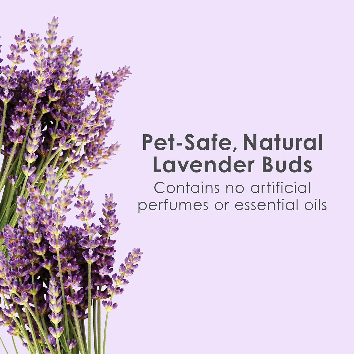 Kaytee Clean & Cozy Lavender Paper Bedding For Pet Guinea Pigs, Rabbit