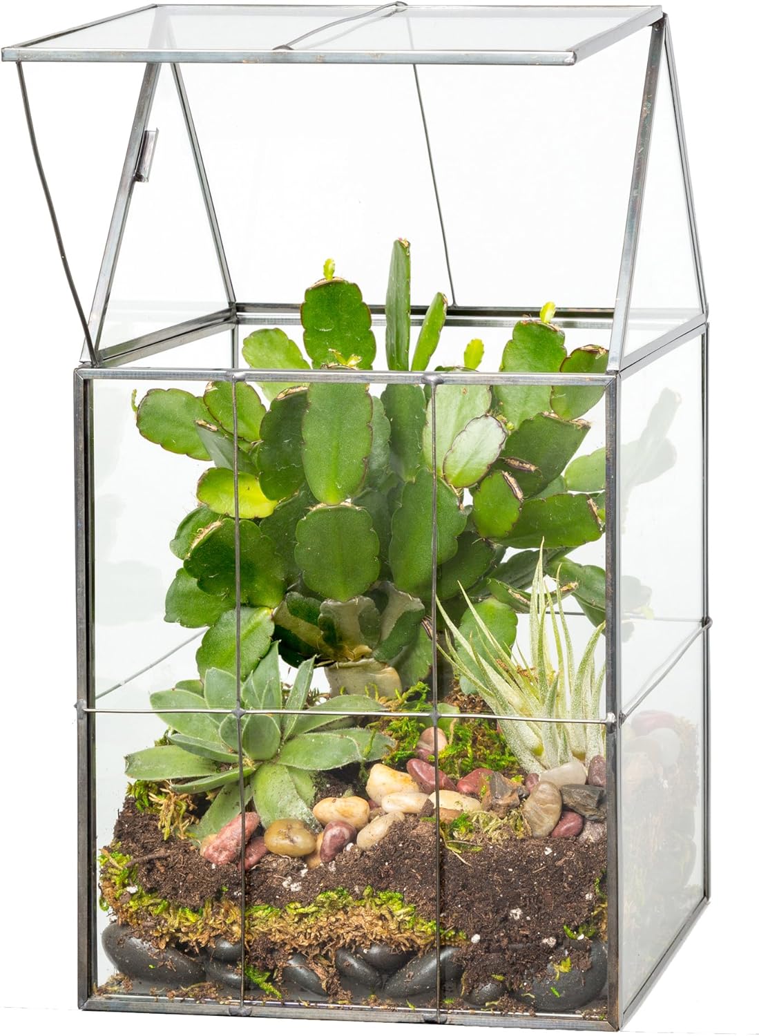 D'Eco Glass Geometric Centerpiece (6x5x11) - Planter Terrarium - Spring Easter Home Decor & Wedding Letterbox - Fill w Succulents, Moss, Colorful Eggs, Bunny Rabbits, Grass - Gift for Plant Lovers