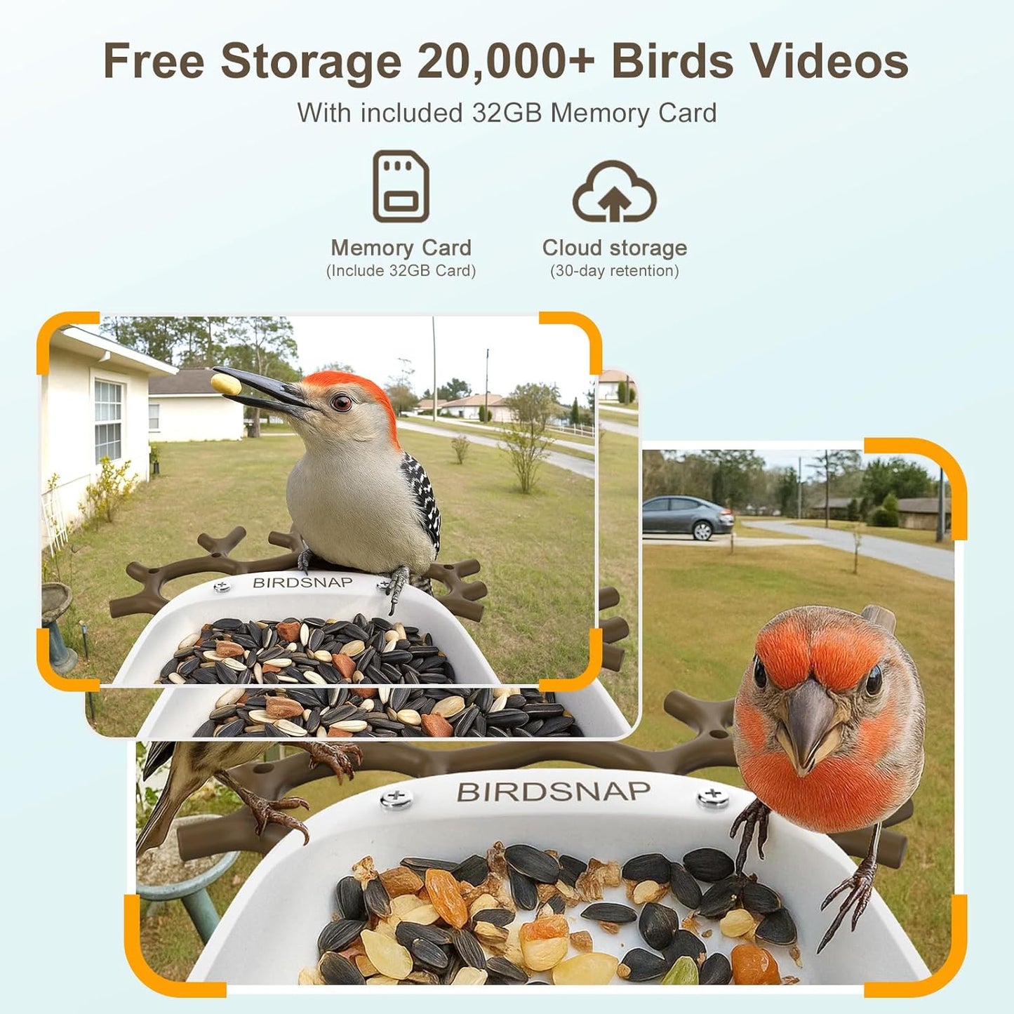 birdsnap® P33 - Smart Bird Feeder with Camera Solar Powered, 2K Video Bird Camera Feeder Live with 32GB Card, AI Identify Feather Species, Auto Record in Backyard, Ideal Gift for Birds Lover