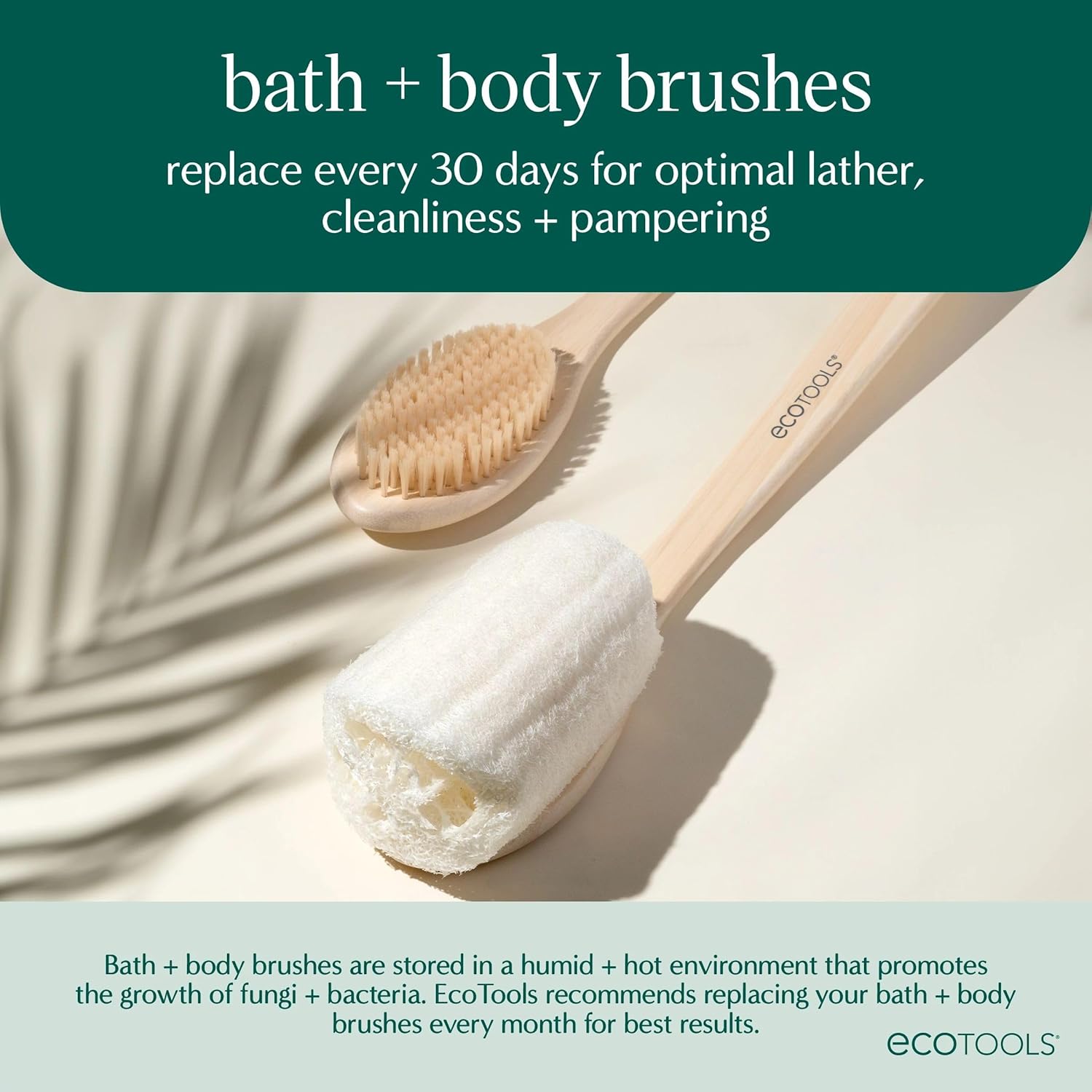 EcoTools Bath Bristle Brush, Bath Brush with Long Handle, Cleanse Back