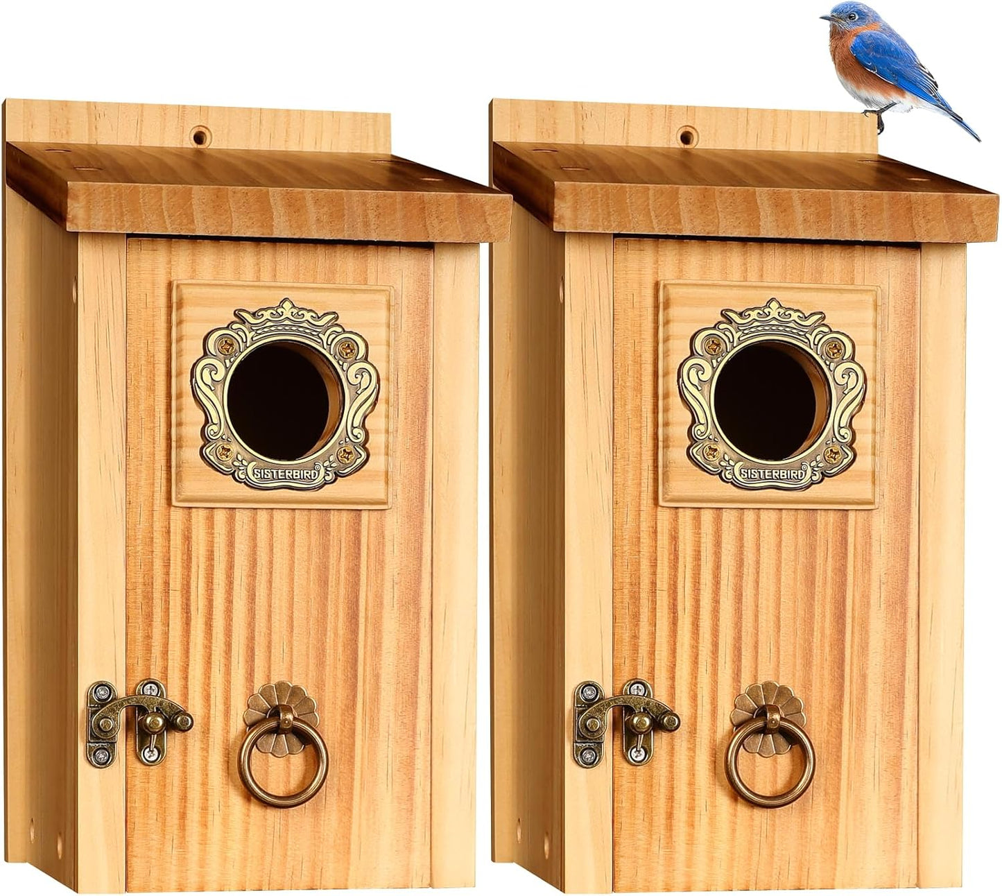 Premium Pack of 2 Bluebird Houses for Outside, Garden Bird Houses for Outdoor, Vintage Metal Predator Guard, Birdhouse Gift, Weatherproof Coating Bird Nesting, Assembly Required