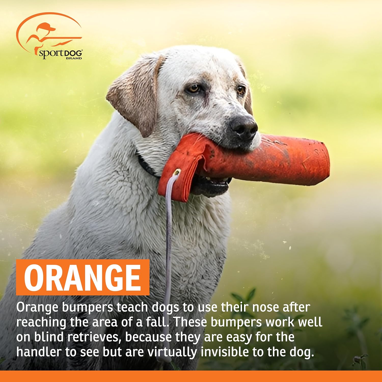SportDOG Canvas Dummies - Hunting Dog Training Tool - Game Scent Absor