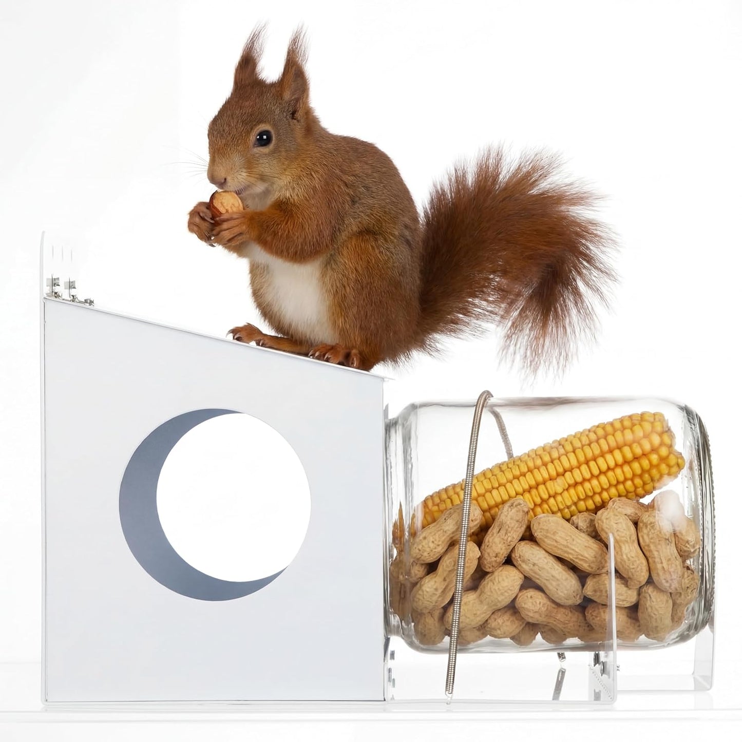 LemonRoad Squirrel Feeder for Outside, Metal Chipmunk Feeder with Removable Clear Glass Jar, Enjoying Squirrels Eating Corn Seeds, Easy to Fill Clean, Prevent Birds ? Animals Stealing Food