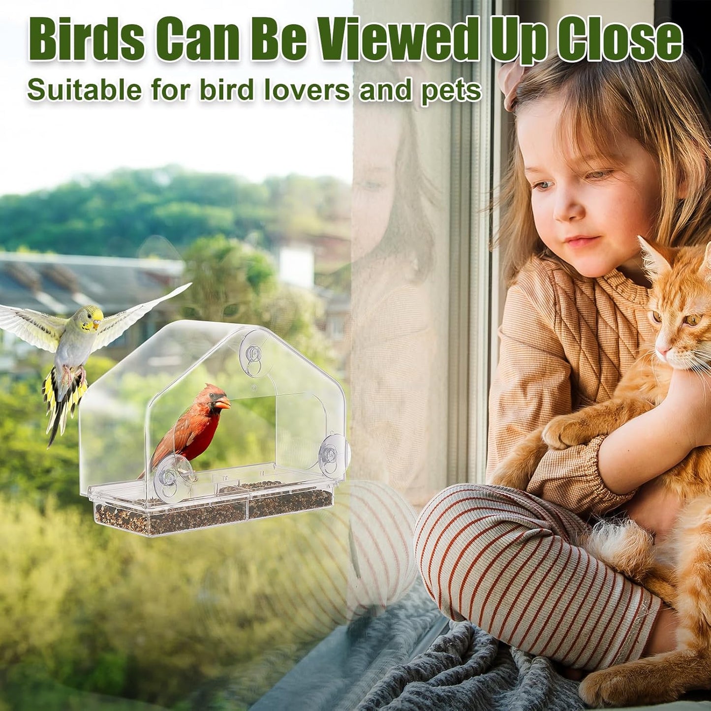 HOMEE Acrylic Bird Feeder,Clear Window Bird Feeders with Suction Cups for Outdoors Feeding Watching for Garden and Yard
