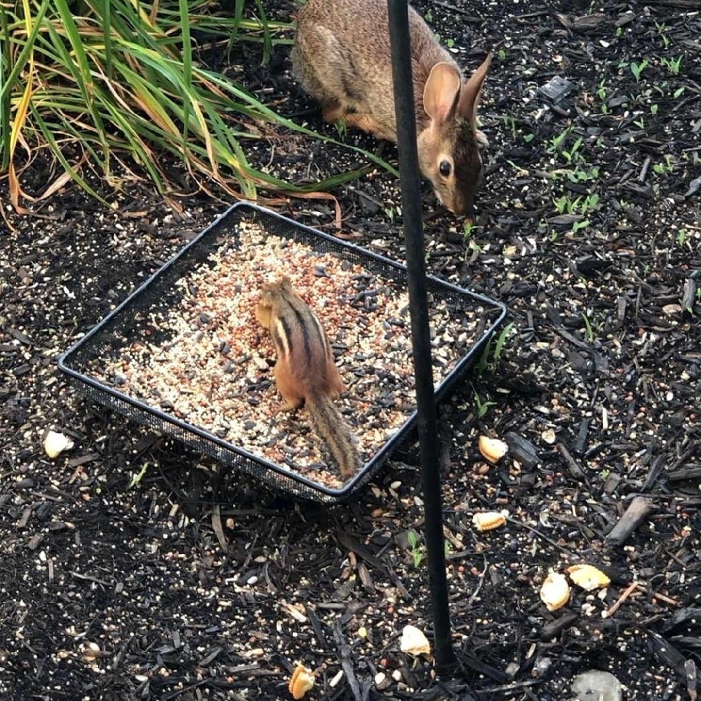 Ground Feeder for Birds,Square Mesh Anti-Tip Feeding - Flat Bird Feede