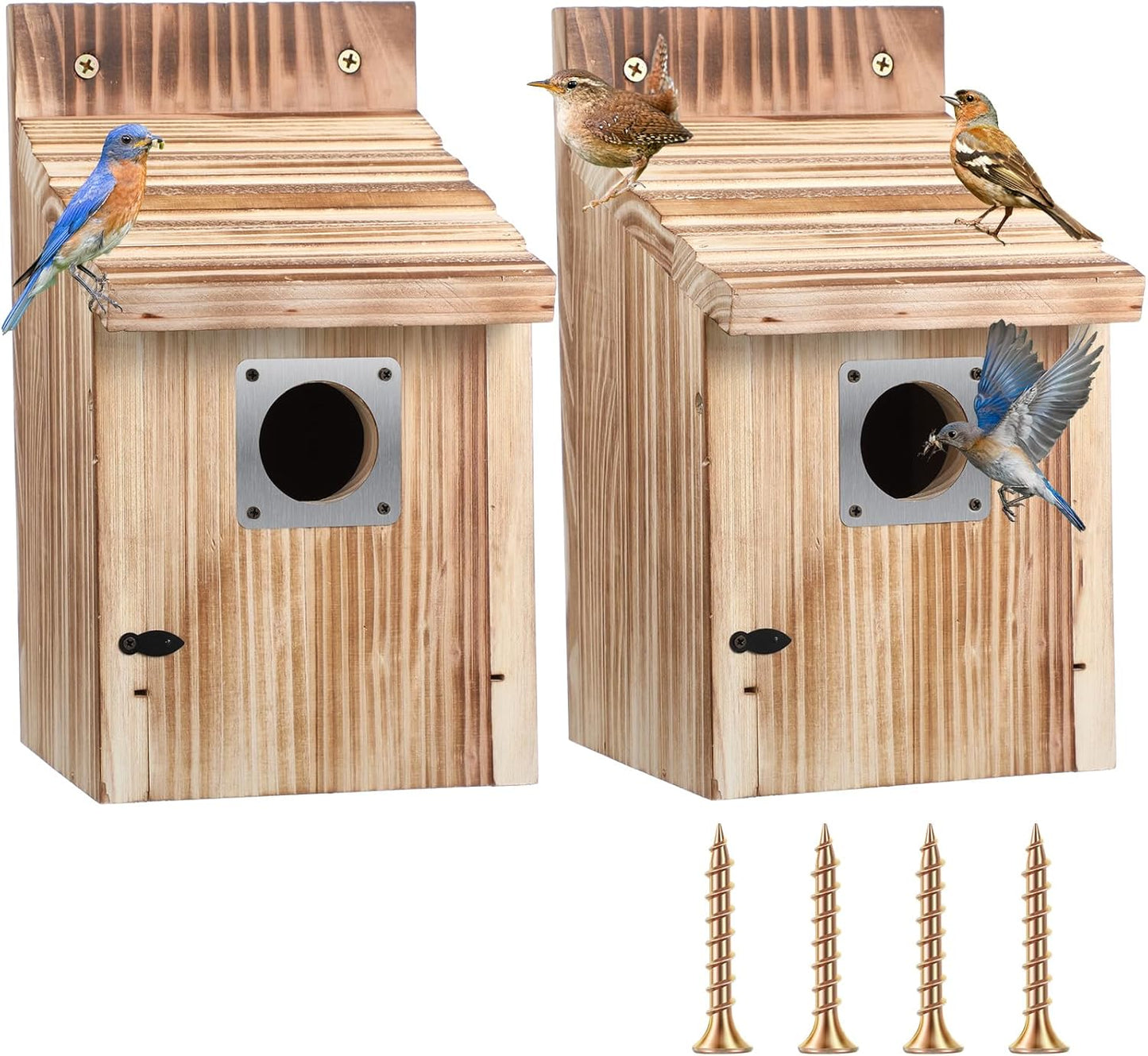 Dreyoo 2 Pack Cedar Bluebird Box Houses for Outside, 1-1/2” Entrance Hole Wooden Bird Houses with Metal Predator Guard, Secure Latch, Fledgling Grooves, Air Vents for Bluebird Wren Swallow Finch