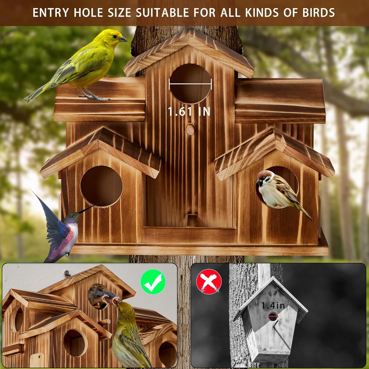 Bird House for Outside 5 Hole Bird Houses Room for 5 Bird Families Lar