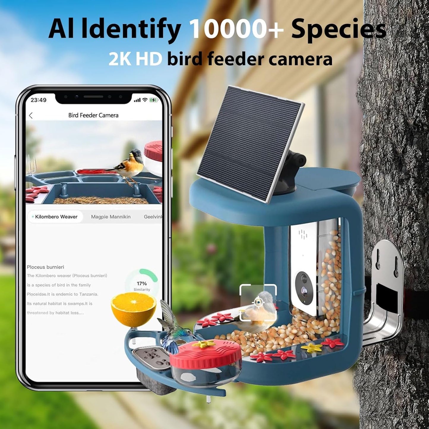 Bird Feeder with Camera, Conbby Smart Ai Identify Birds Watching Camera with Solar Powered, 2K HD Auto Capture Birds Video in Backyard, Porch, Patio, Ideal Gifts for Family and Bird Lovers