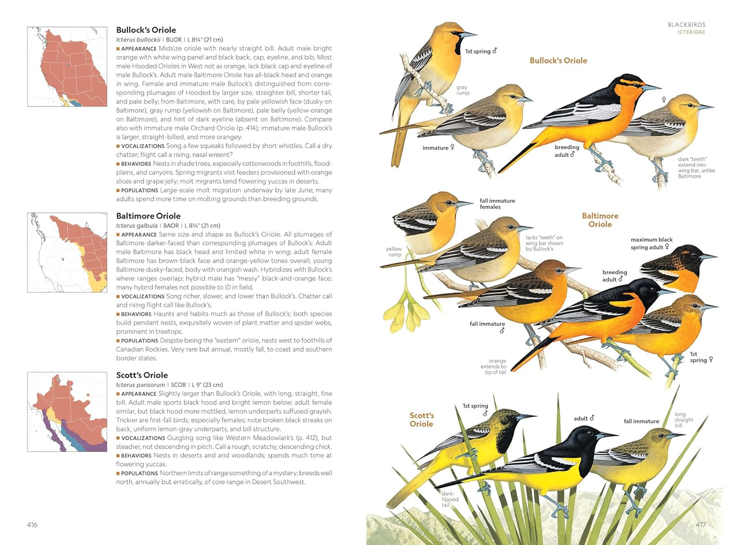 National Geographic Field Guide to the Birds of the United States and Canada―West, 2nd Edition