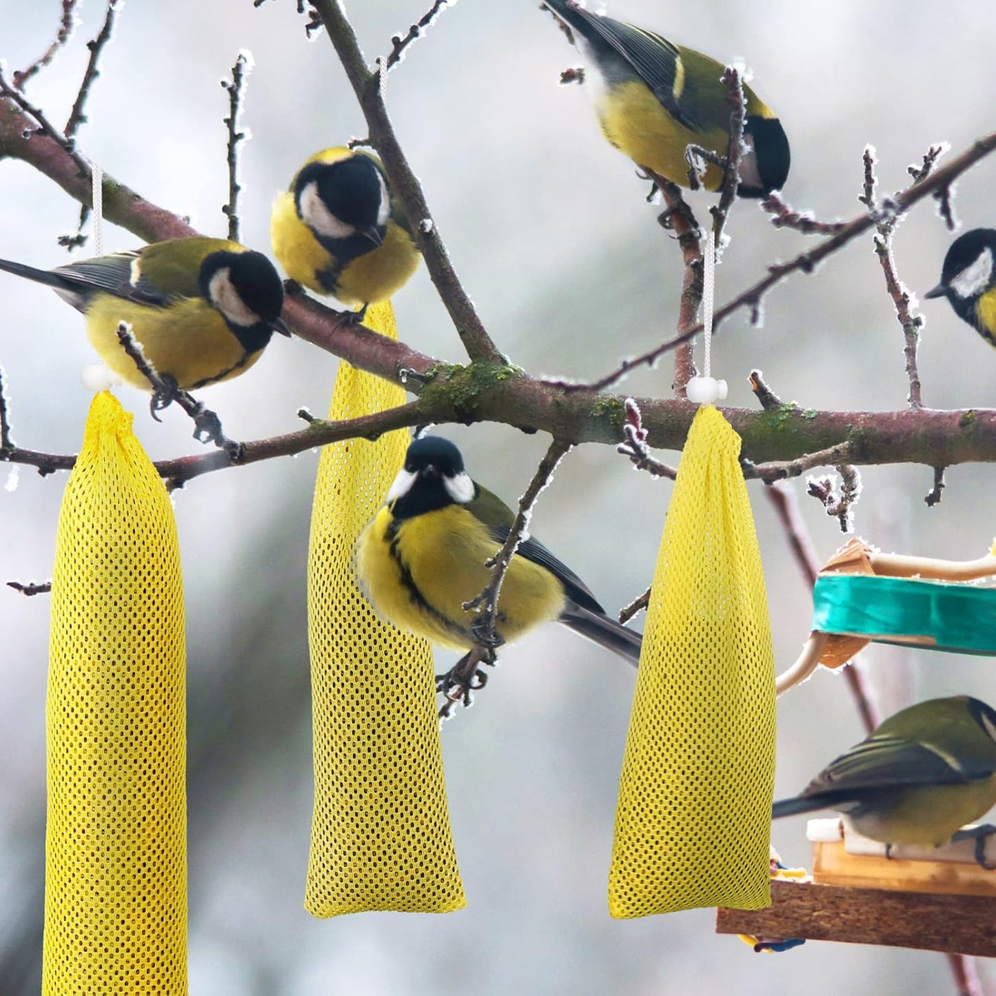 Shappy 6 Pieces Finch Sock Feeder Finch Feeders for Outdoors Hanging Thistle Bird Sock for Thistle Seed Bird (Yellow, 3.94 x 15.5 Inch, 3.54 x 12.5 Inch, 4.75 x 9 Inch)