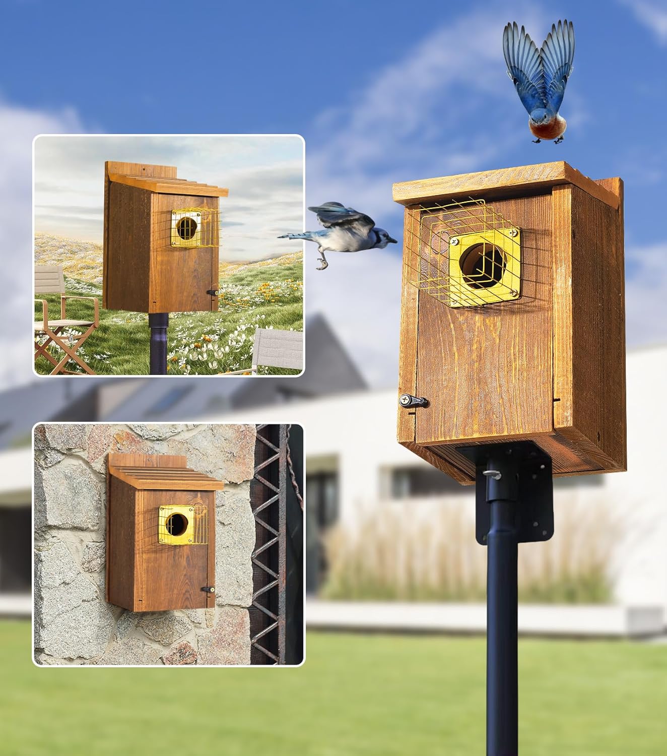 2pk Fortress Bluebird House for Outdoor Clearance - Metal Entry Cage, Mesh Base & Brass Guard - Cedar Bird House for Bluebirds, Finches, Patented Design, Weatherable 5 Years Usage, 6"x7", 2026 Updated