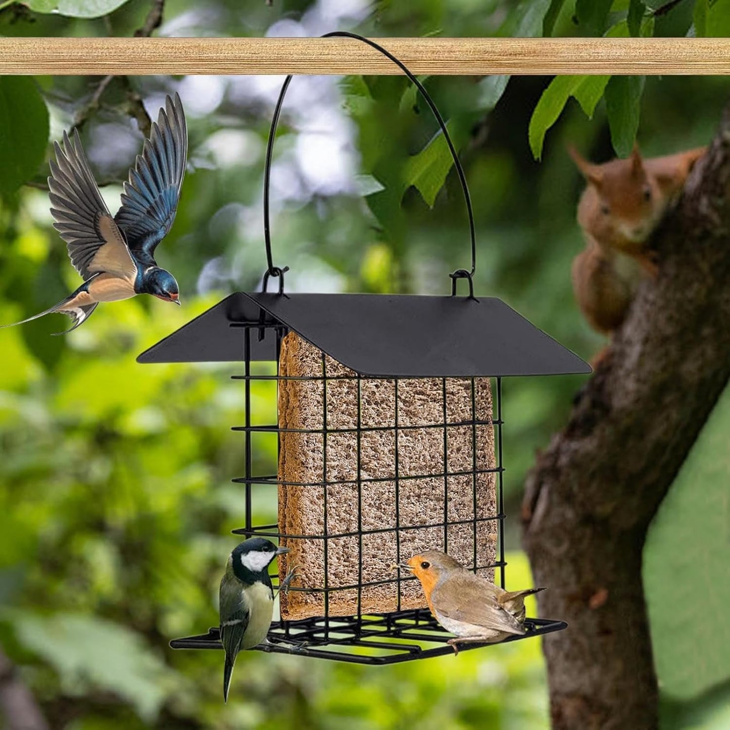 Suet Feeder, Reusable Squirrel Proof Bird Feeding Station | Cage for Suet Cakes, Woodpeckers, Hummingbirds, Parrots, and All Wild Bird Species, Outdoor Garden Backyard Deck Feeder Accessory
