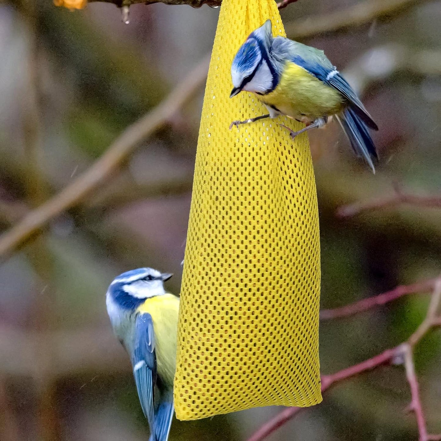 Shappy 6 Pieces Finch Sock Feeder Finch Feeders for Outdoors Hanging Thistle Bird Sock for Thistle Seed Bird (Yellow, 3.94 x 15.5 Inch, 3.54 x 12.5 Inch, 4.75 x 9 Inch)