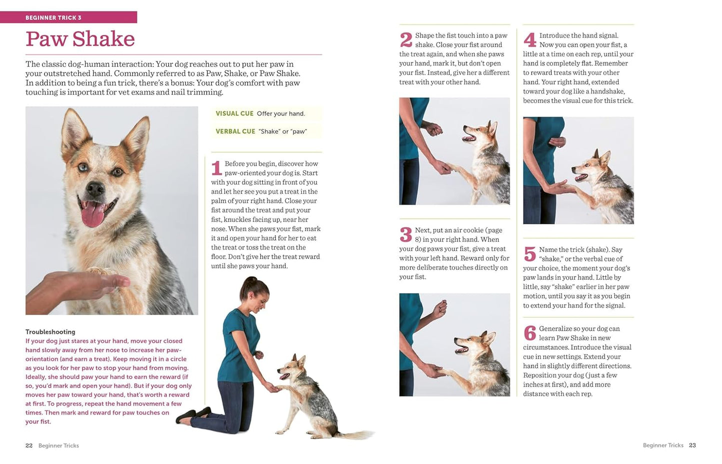 The Big Book of Tricks for the Best Dog Ever: A Step-by-Step Guide to 
