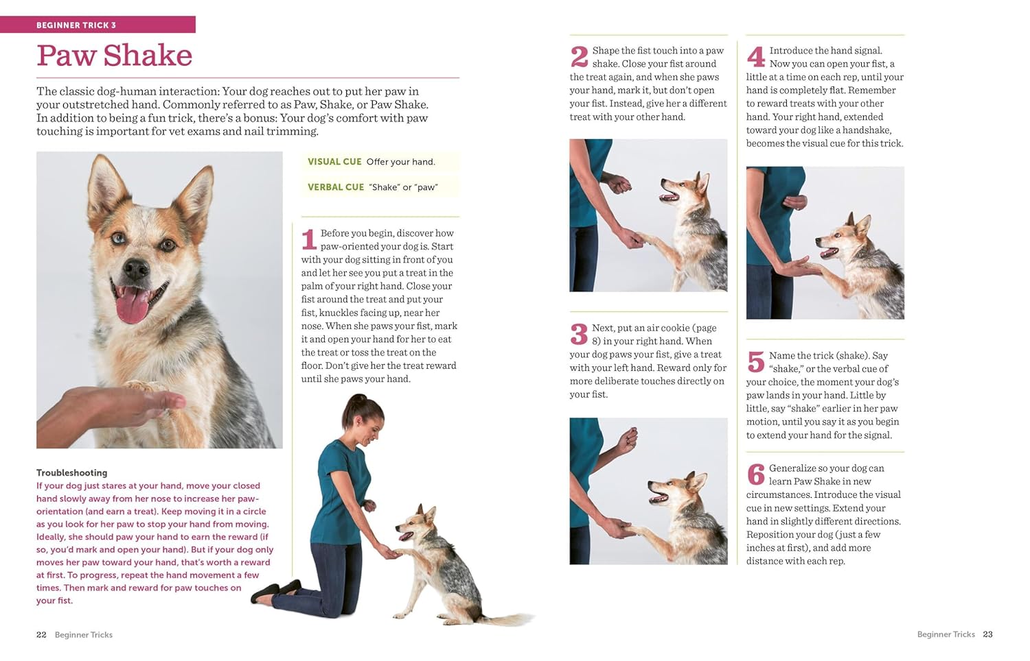 The Big Book of Tricks for the Best Dog Ever: A Step-by-Step Guide to 
