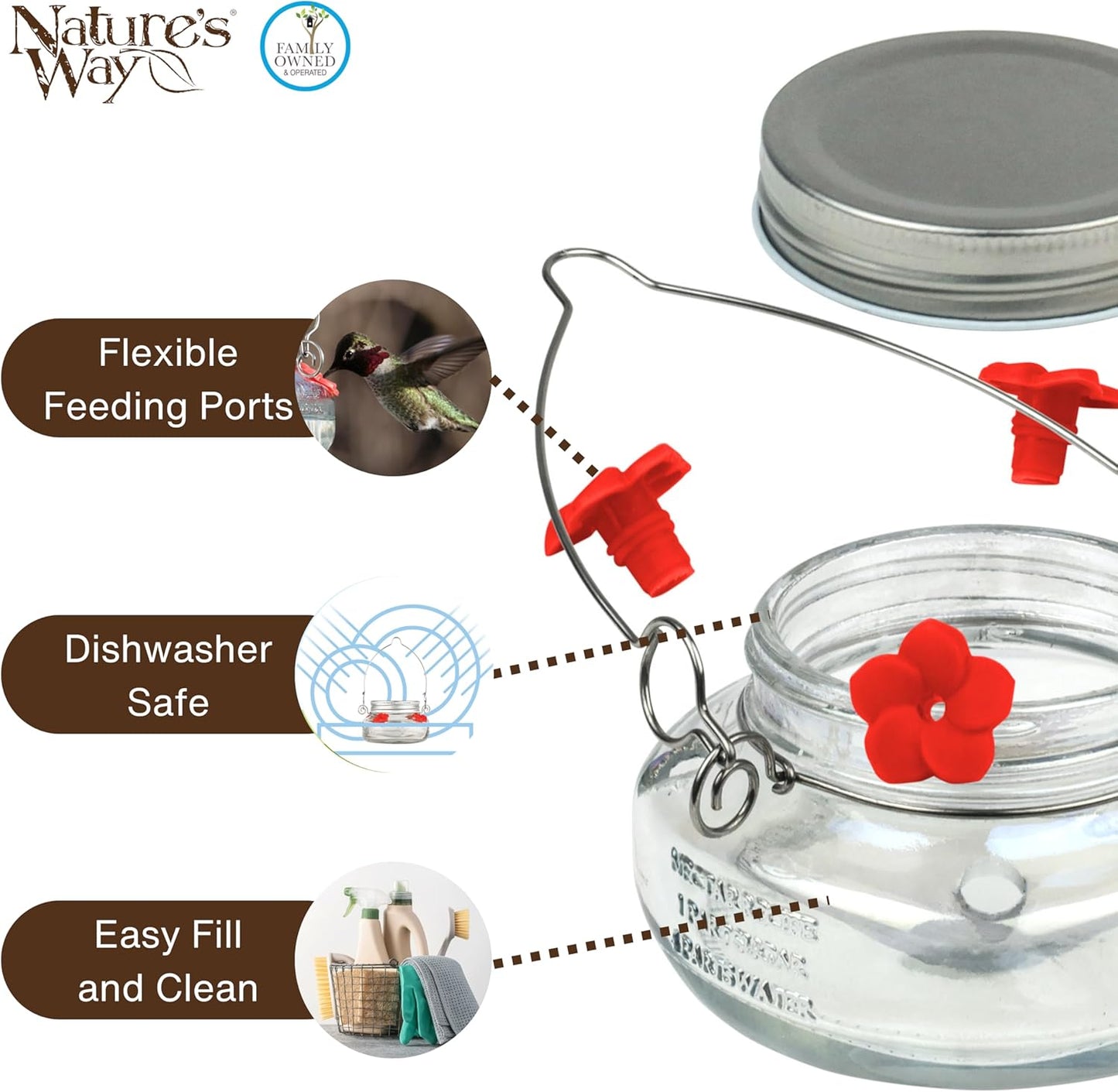 Nature's Way Bird Products MJF1 Nature's Way Mason Jar Hummingbird Dish Feeder, Clear