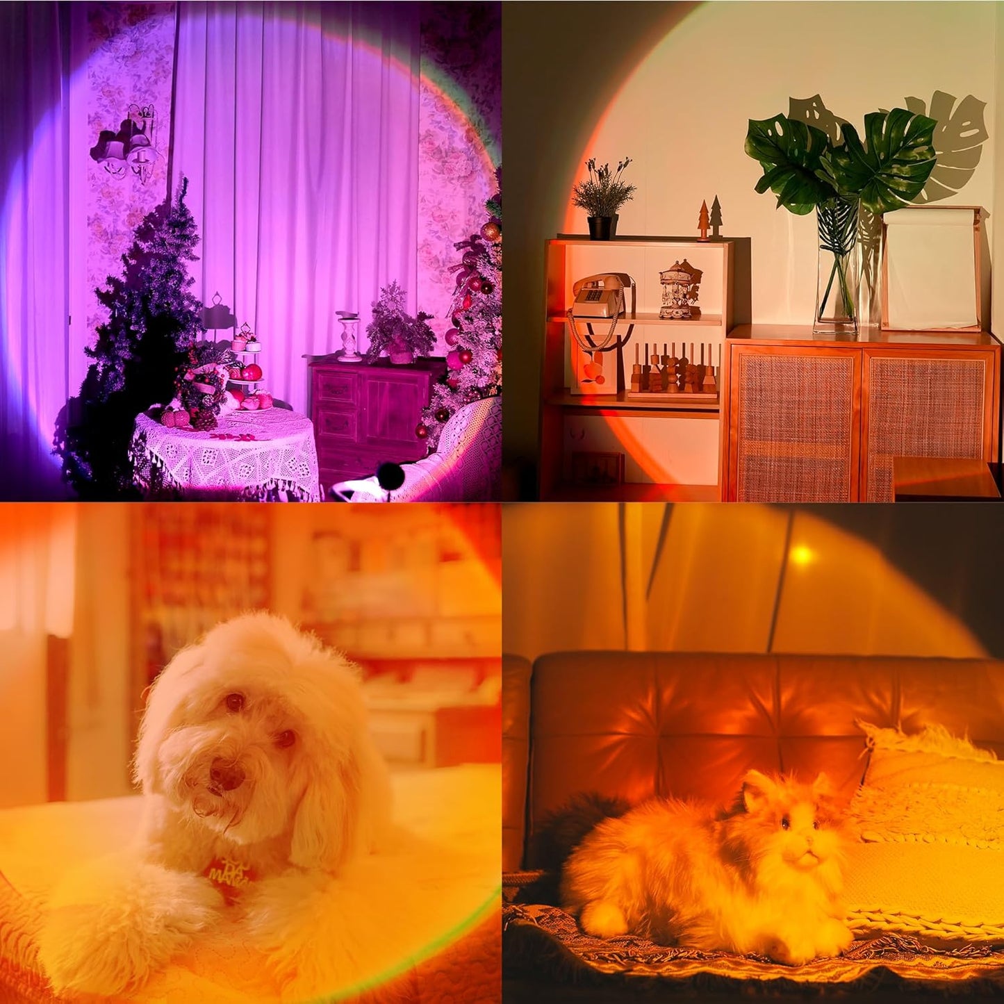 일몰 램프 프로젝션, 21가지 색상 일몰 조명, 180도 회전 LED 조명, 푸시 버튼 스위치 및 앱 제어 프로젝터 파티 침실 장식용
