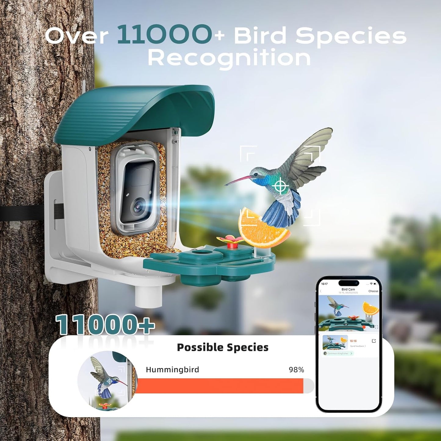 Bird Feeder with Camera, Solar Powered Outdoor Birdhouse, AI Smart Identify 10000+ Birds Species, Instant Motion Detection & Alerts, Watching & Capture BirdVideo, Gifts for Bird-Lovers(Cyan-Blue)