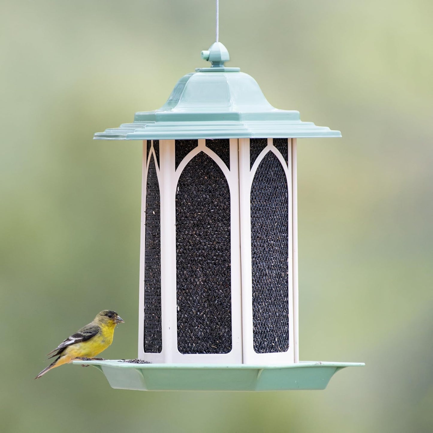 Perky-Pet Pistachio Gazebo Feeder - Wild Bird Feeder - GAZ01, Pistachio - Holds up to 3.5 lb Seeds - Easy to Fill, Easy to Clean, Rust Resistant Finish