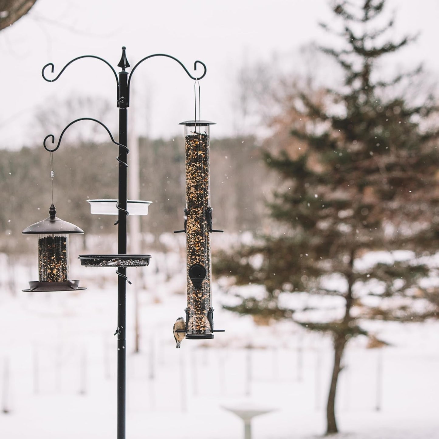 Backyard Expressions Bird Feeding Station Kit - 75" Bird Feeder Pole w