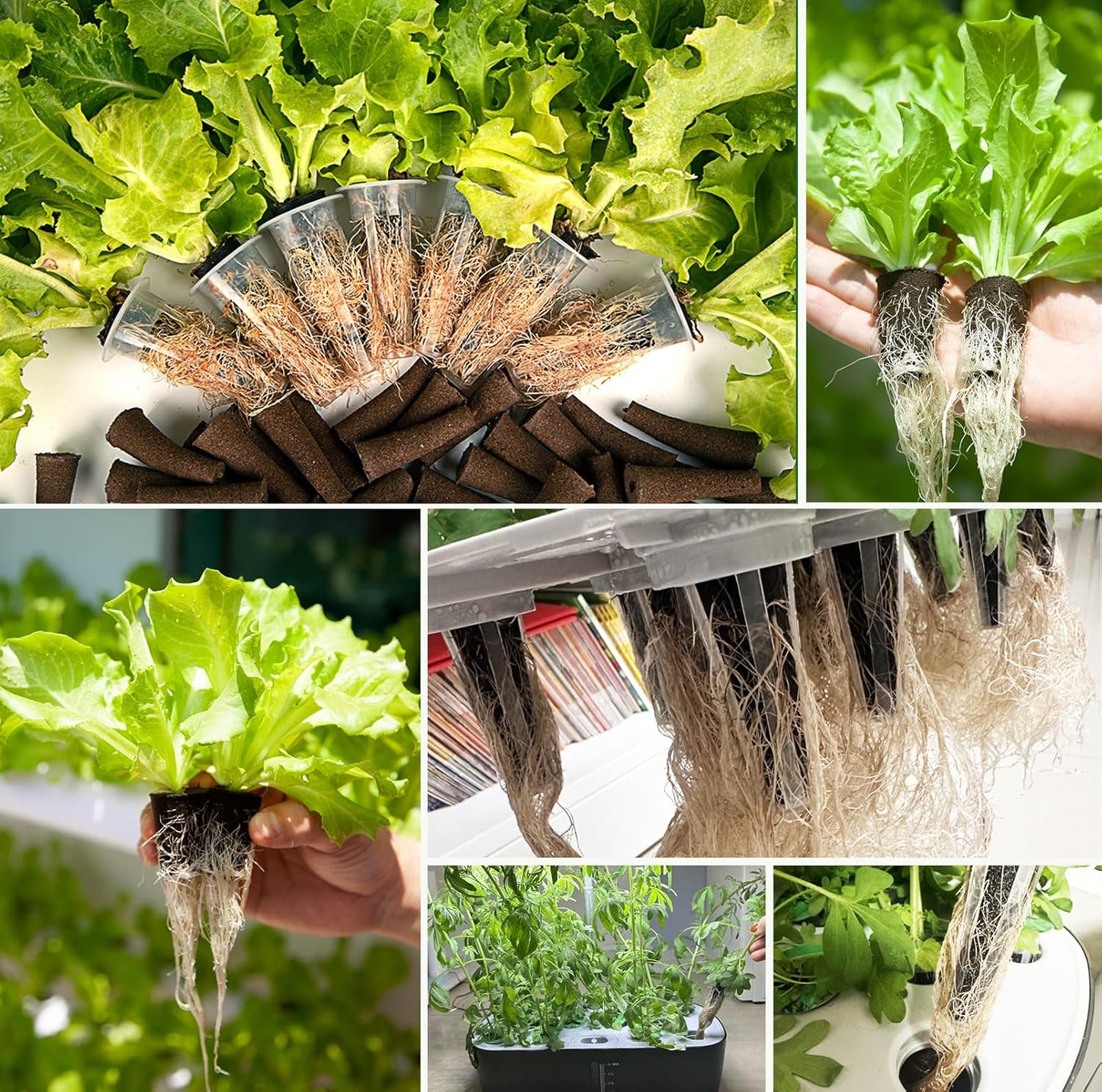 50 Pack Hydroponic Grow Sponges Seed Pods Replacement, Growing System 