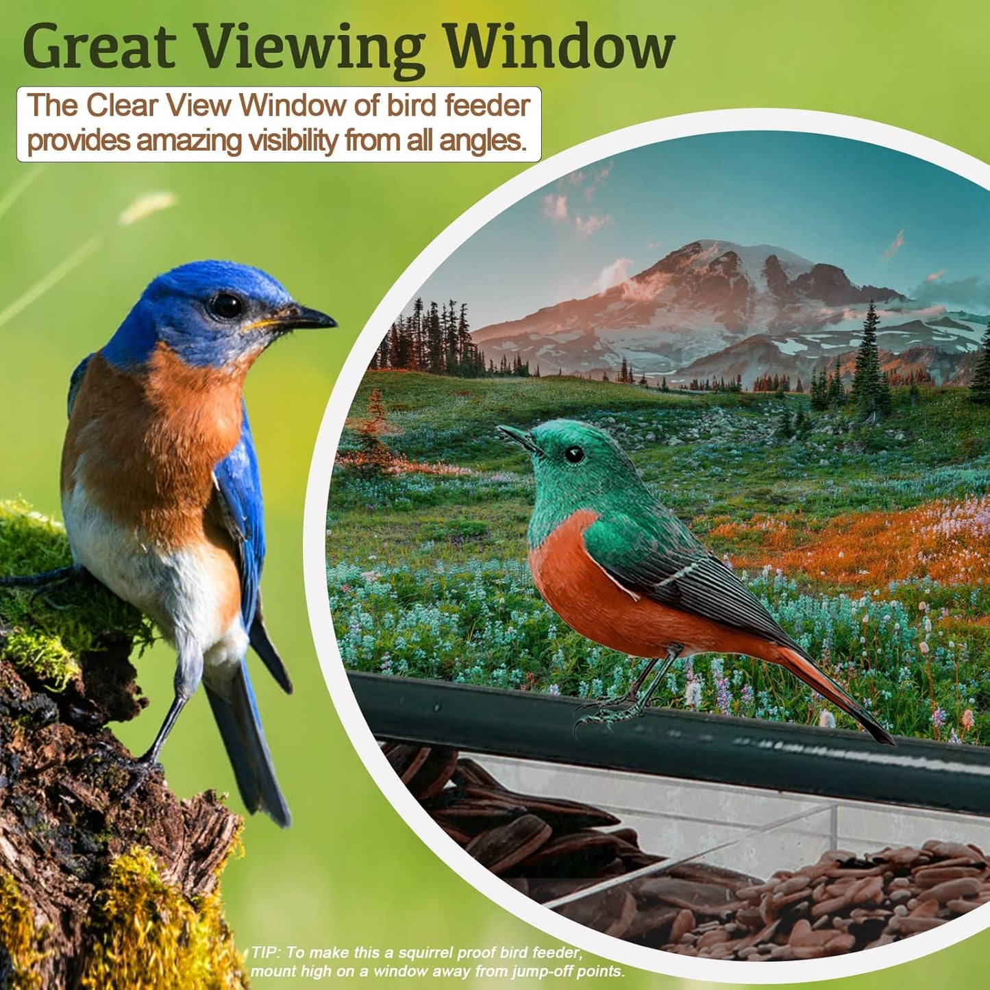 Acrylic Window Bird Feeder with 4 Strong Suction Cups, Clear and Trans
