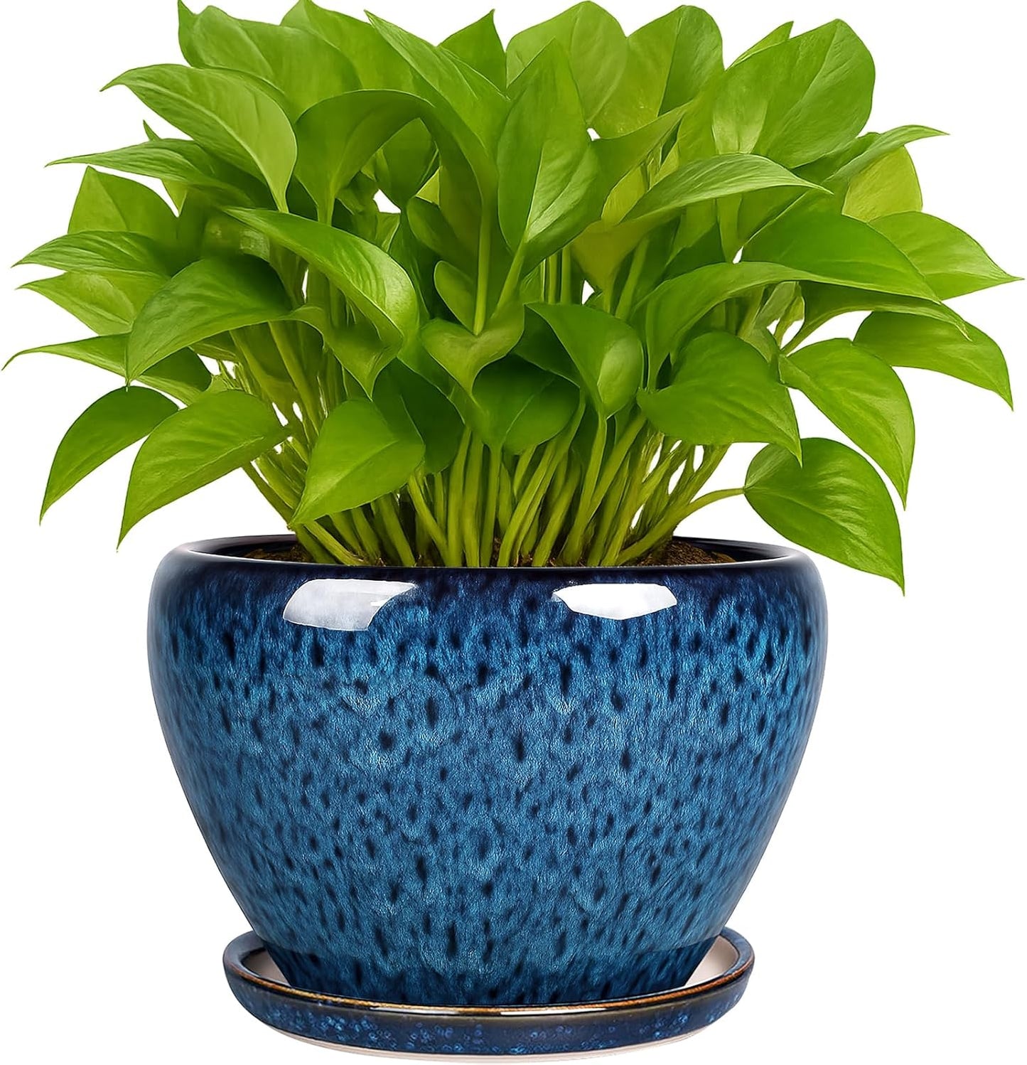 Deep Dream 6 Inch Plant Pots- Ceramic Planter Pot with Drainage Hole a