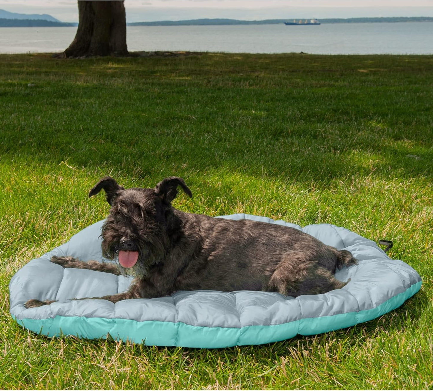 Furhaven Outdoor Travel Dog Bed for Small Dogs w/ Carry Bag, Washable 