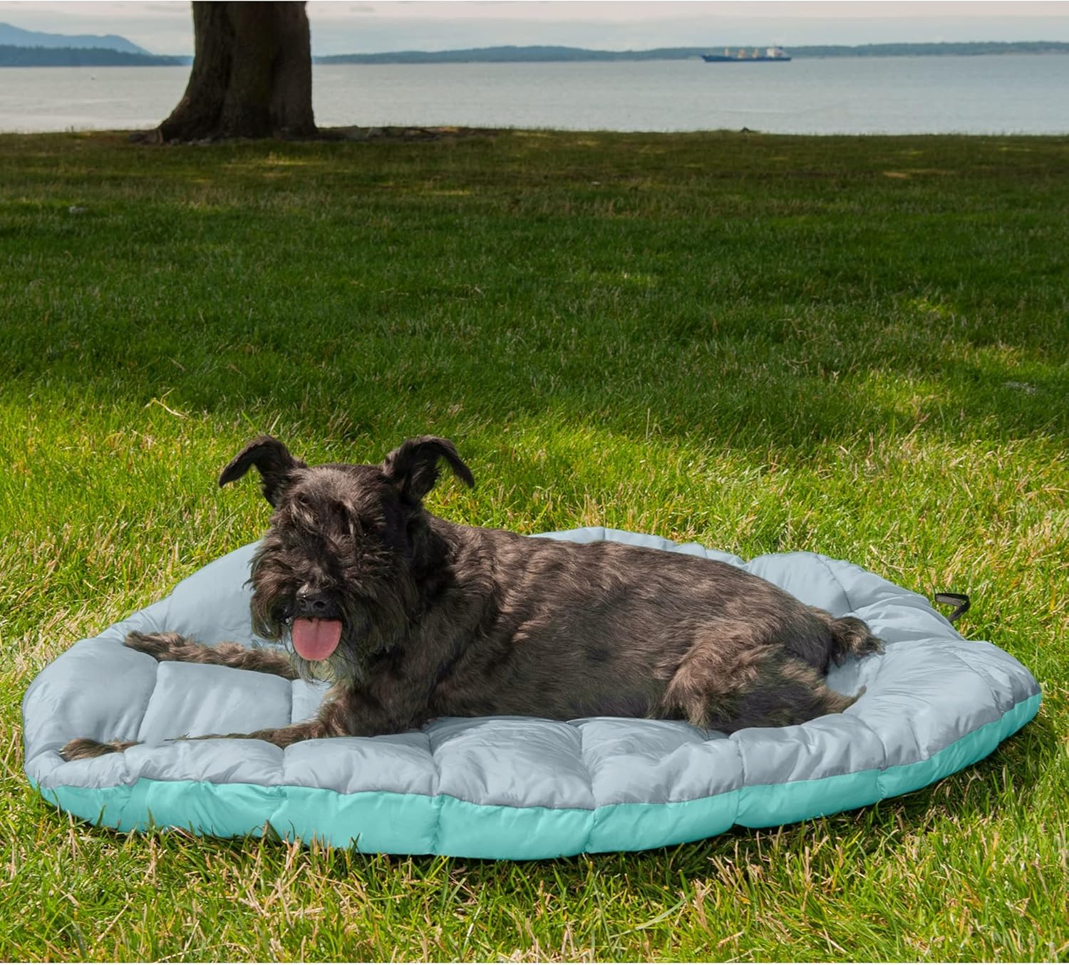 Furhaven Outdoor Travel Dog Bed for Small Dogs w/ Carry Bag, Washable 