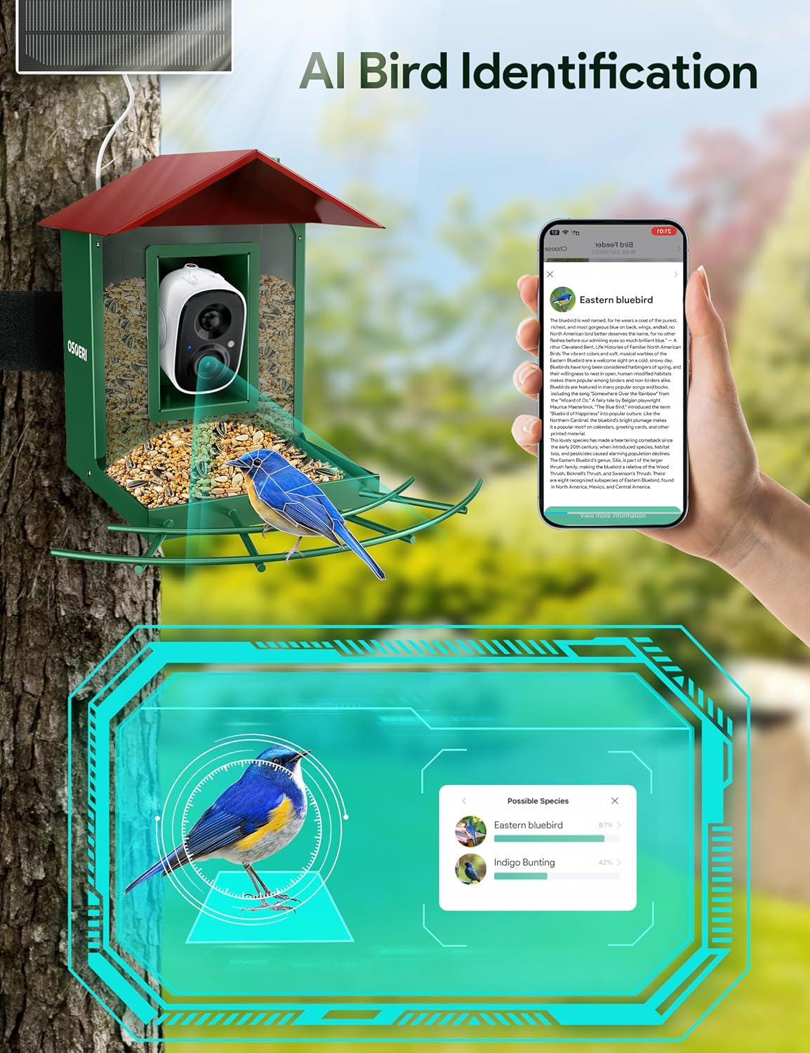 Osoeri Bird Feeder with Camera, Camera Bird Feeder for Outside, Solar-