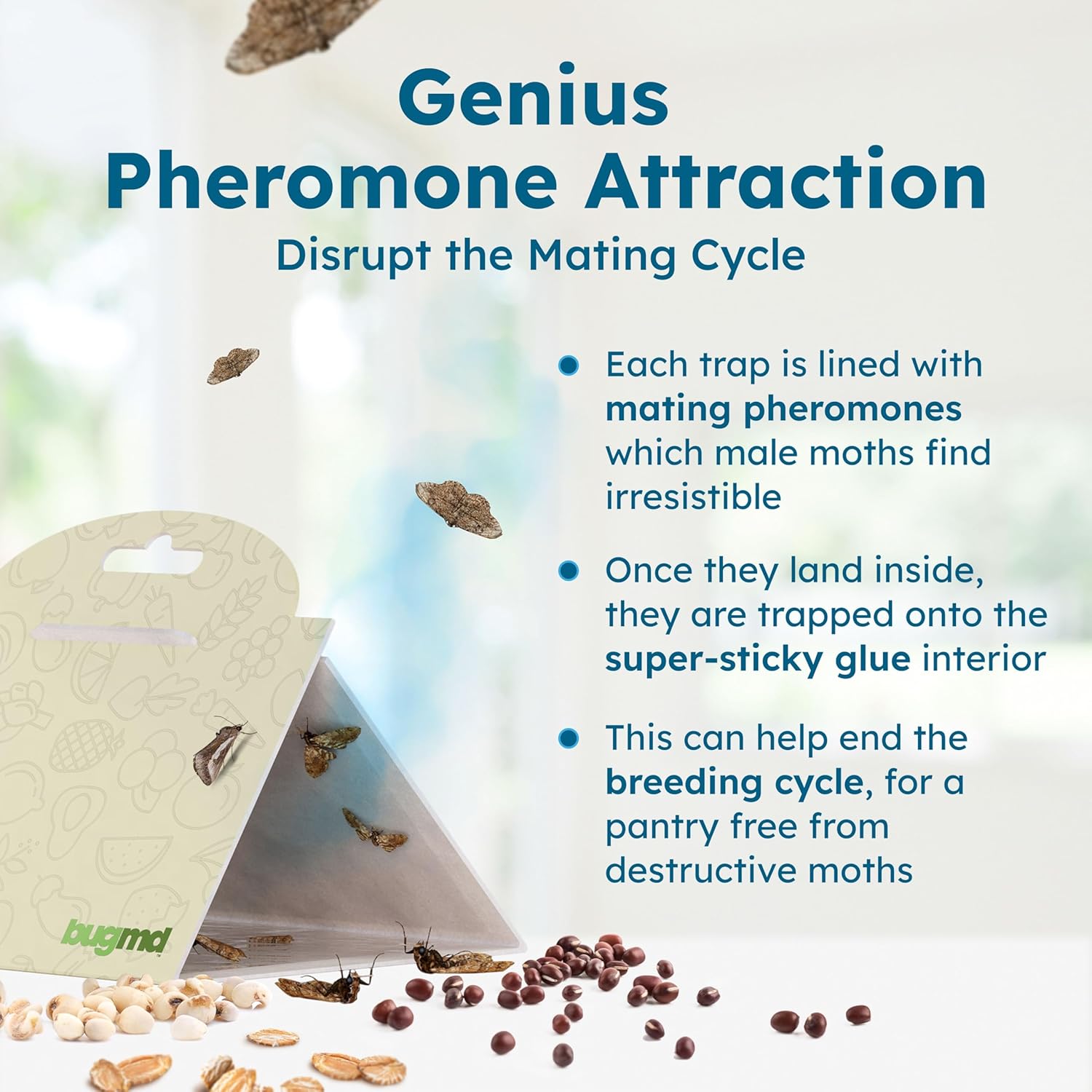 BugMD Pantry Moth Traps (6-Pack) – Pheromone-Based Sticky Glue Traps, 