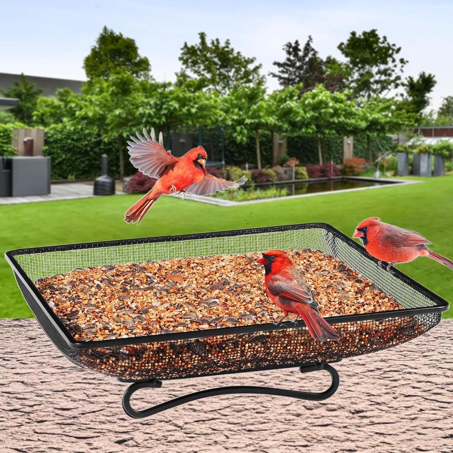 Wild Bird Feeders, Square Ground Tray Feeder, Metal Mesh Bowl for Feeding Birds, Stainless Steel Bird Feeder with Mesh Design, Outdoor Garden Station with Wildlife Access, Blue Jay Squirrel Feed Use