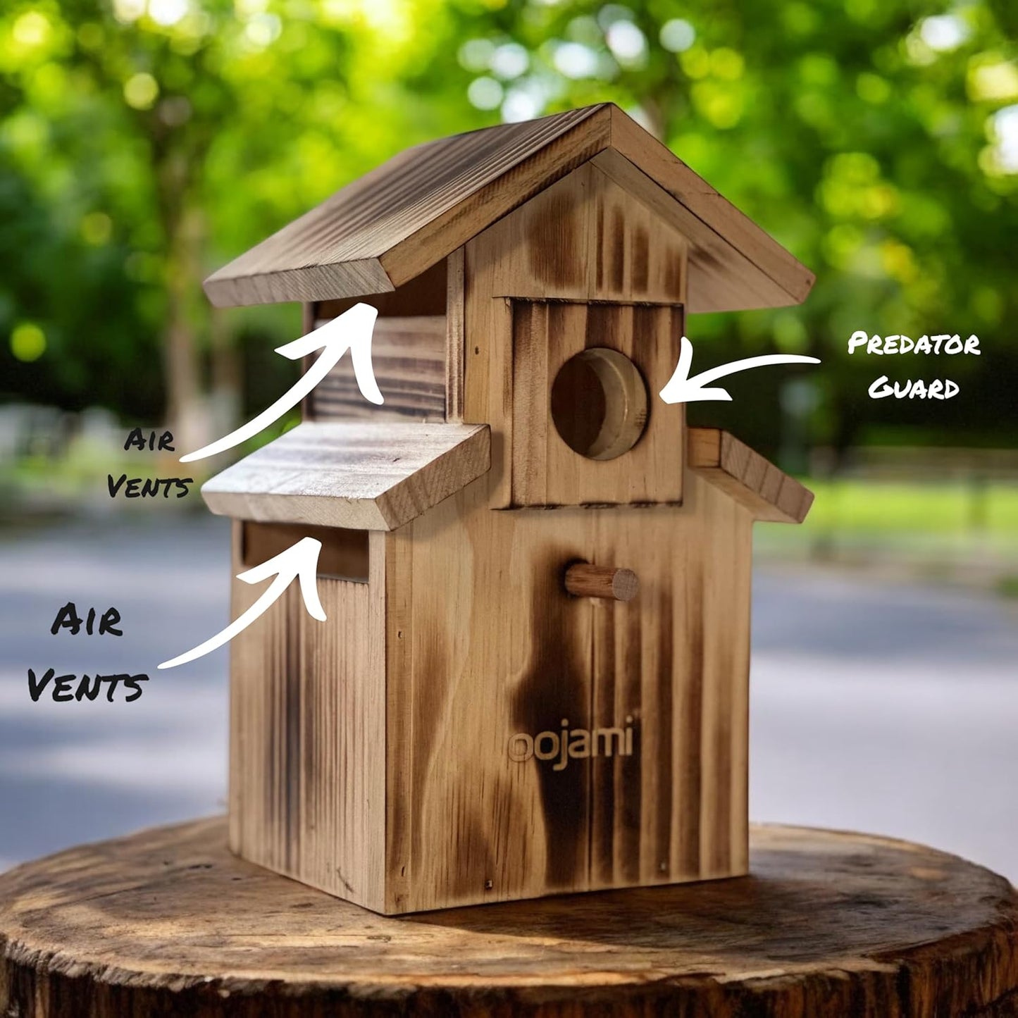 Bird House for Bluebird, Finch, Wren, Chickadee, Tree Swallow, Wild Bi