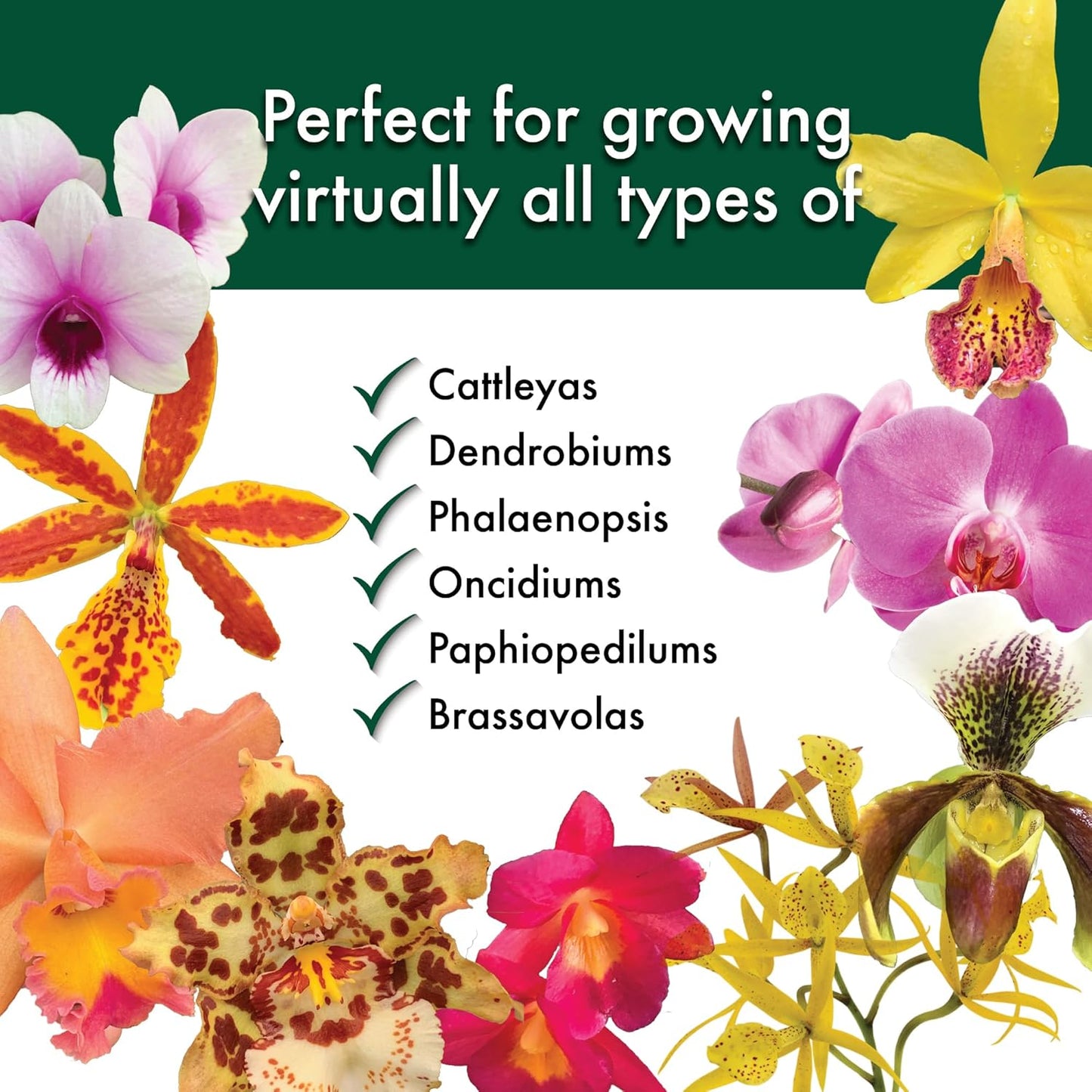 Better-Gro Special Orchid Mix - Premium Grade Orchid Bark Potting Mix for Potting, Repotting, Enhanced Drainage, Air Flow & Root Ventilation, Ideal for Phalaenopsis, Cattleyas, Dendrobiums - 4 Quarts