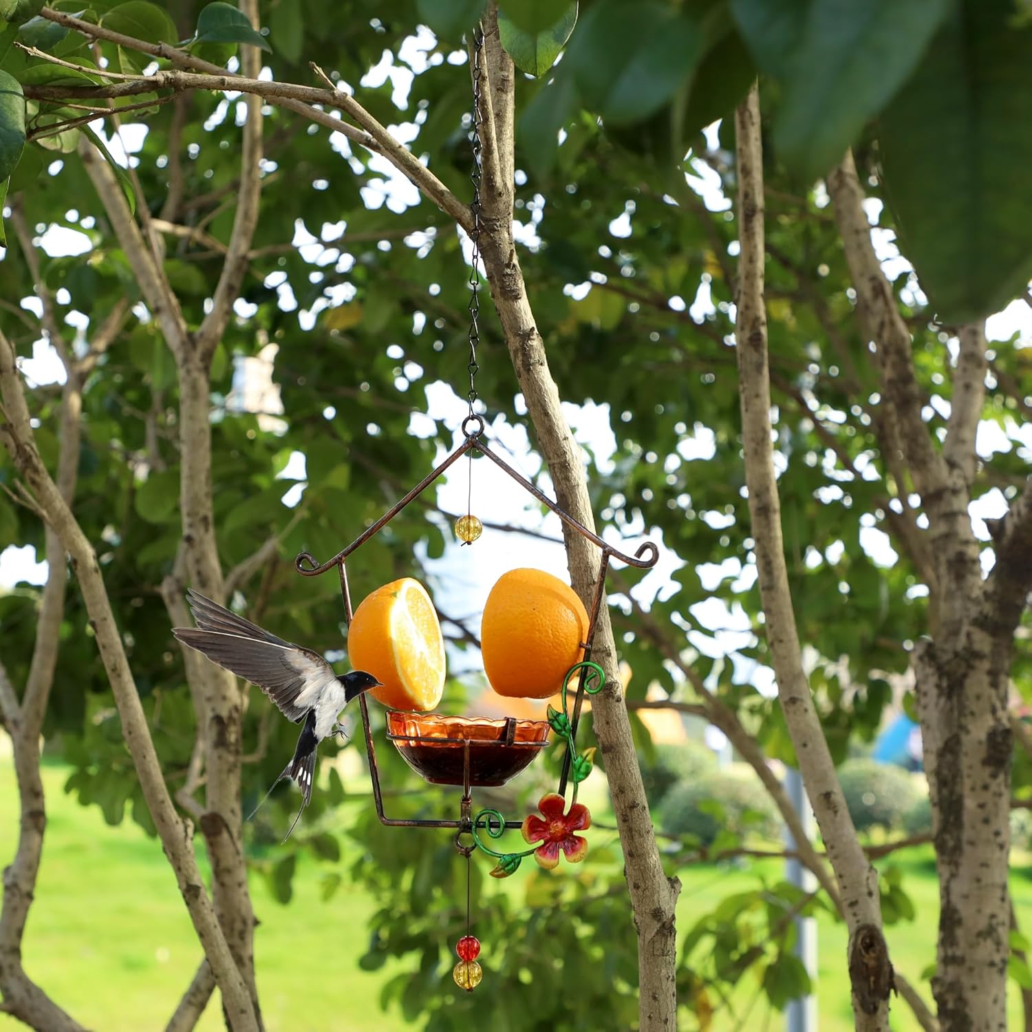 FORUP Oriole Bird Feeder for Outdoors Jelly and Oranges, Orange Fruit 