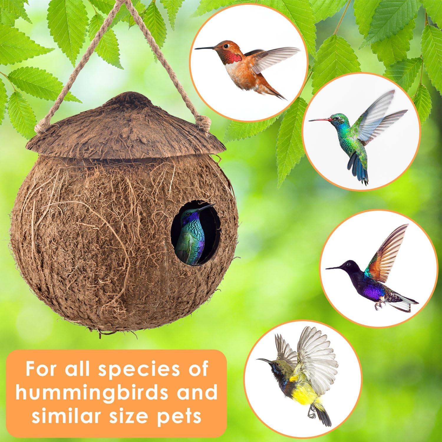 KATUMO Hummingbird Houses, Natural Coconut Bird Houses for Outside Han