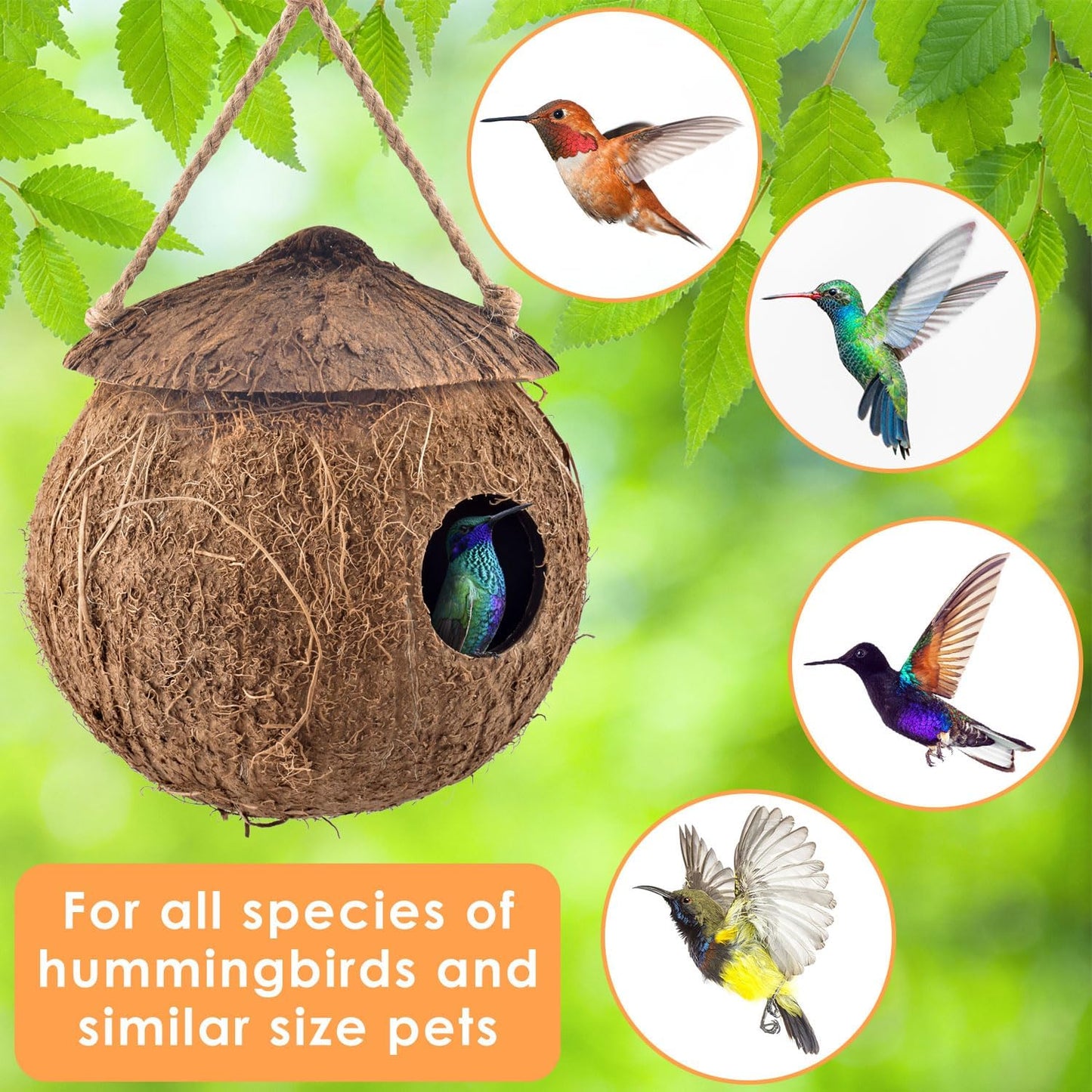 KATUMO Hummingbird Houses, Natural Coconut Bird Houses for Outside Hanging Hummingbird Swinging Nest, with Coconut Fiber Bedding for Nesting Window Garden Outdoor Home, 3Pcs