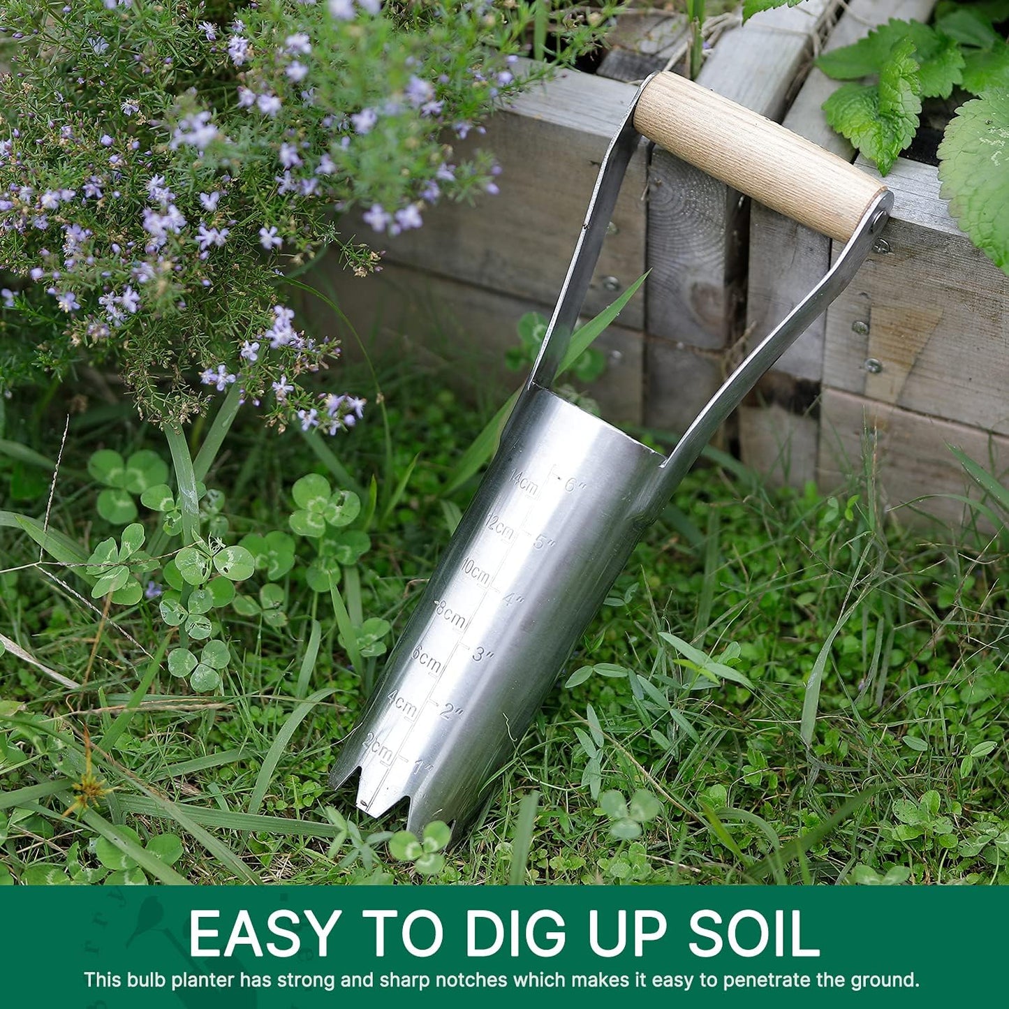 Berry&Bird Garden Bulb Planter with 6 inches Depth Mark, Garden Bulb Transplanter Tool with Wooden Handle, Stainless Steel Soil Release Tool for Transplanting Digging Planting Flowers