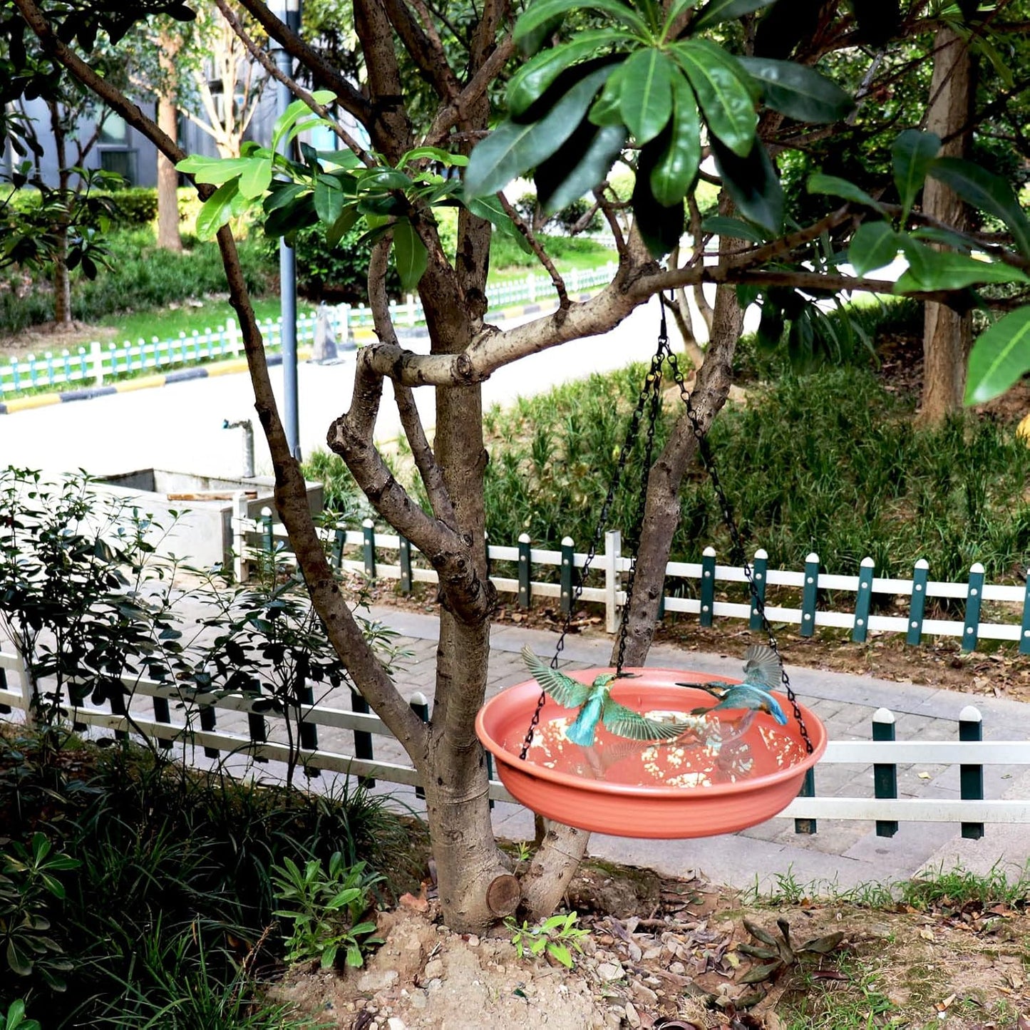 12 Inch Hanging Bird Bath and Feeder With Hook and Chain for Outdoor Garden Yard Patio
