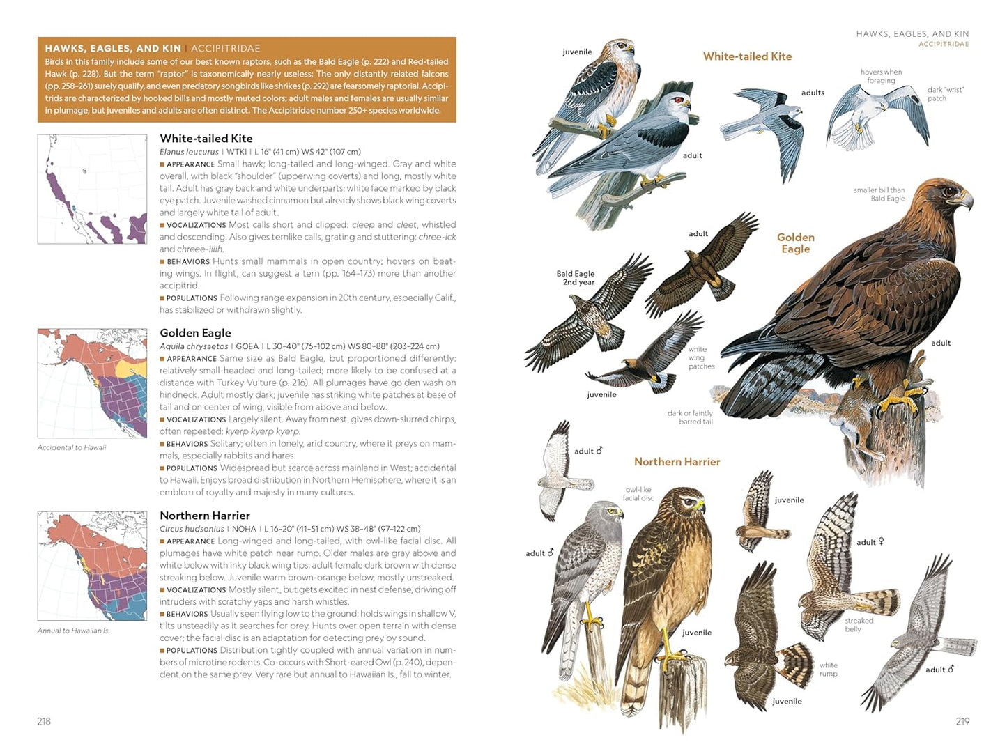 National Geographic Field Guide to the Birds of the United States and Canada―West, 2nd Edition