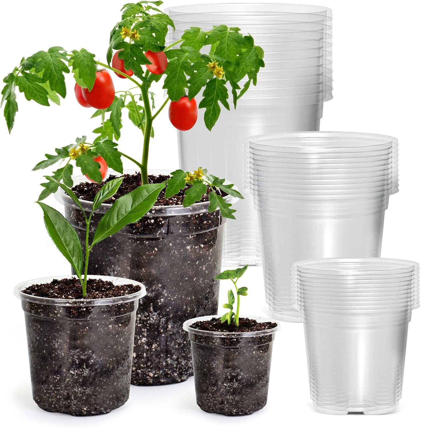 30 Packs 7/5/4 Inch Reinforced Clear Nursery Pots with Drainage Hole, 