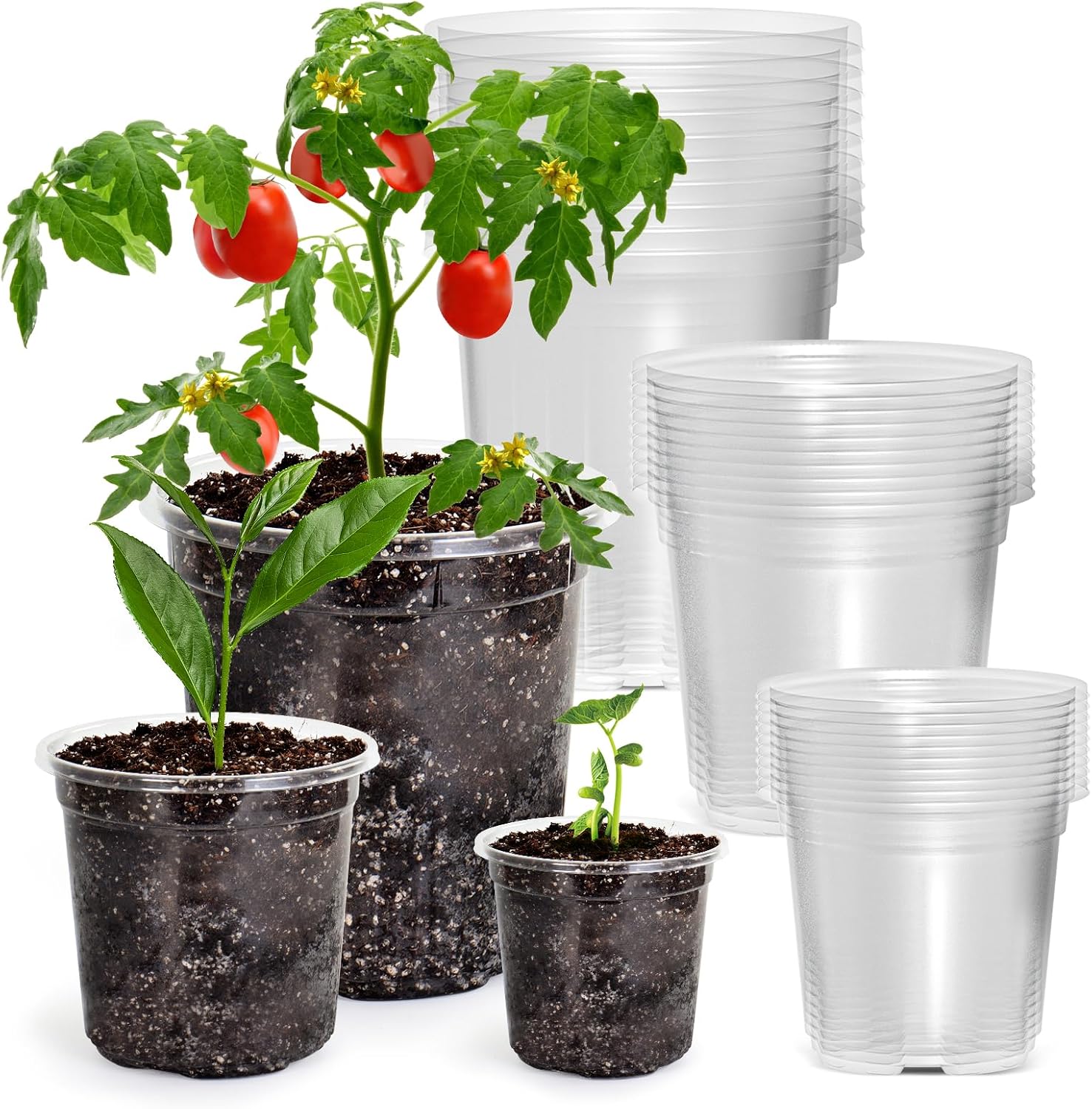 30 Packs 7/5/4 Inch Reinforced Clear Nursery Pots with Drainage Hole, 