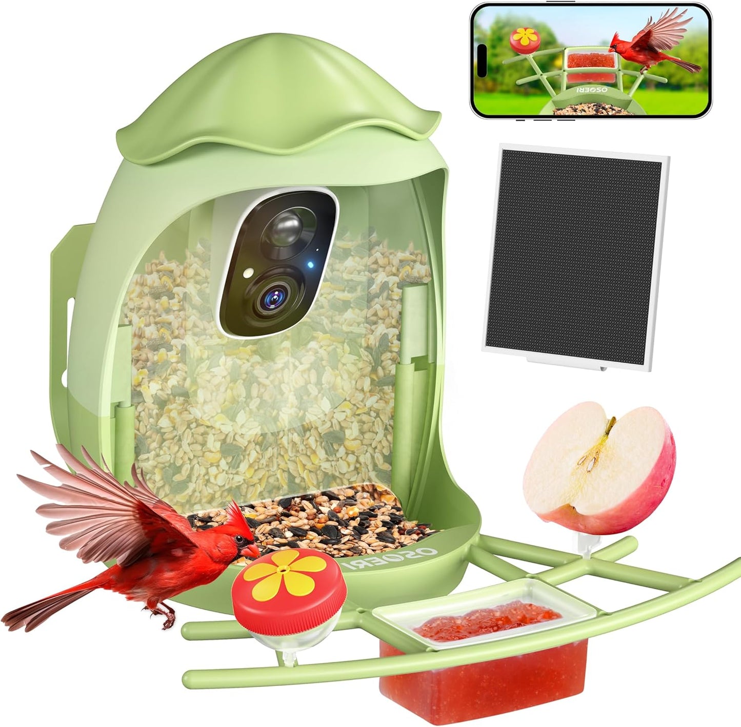 Osoeri AI Smart Bird Feeder with Camera - 2K HD Live Video & AI Identify Birds, Solar Powered Birdfeeder for Outdoors, 2.4GHz WiFi, Real-Time Alerts, Best Gifts for Bird Lovers & Families